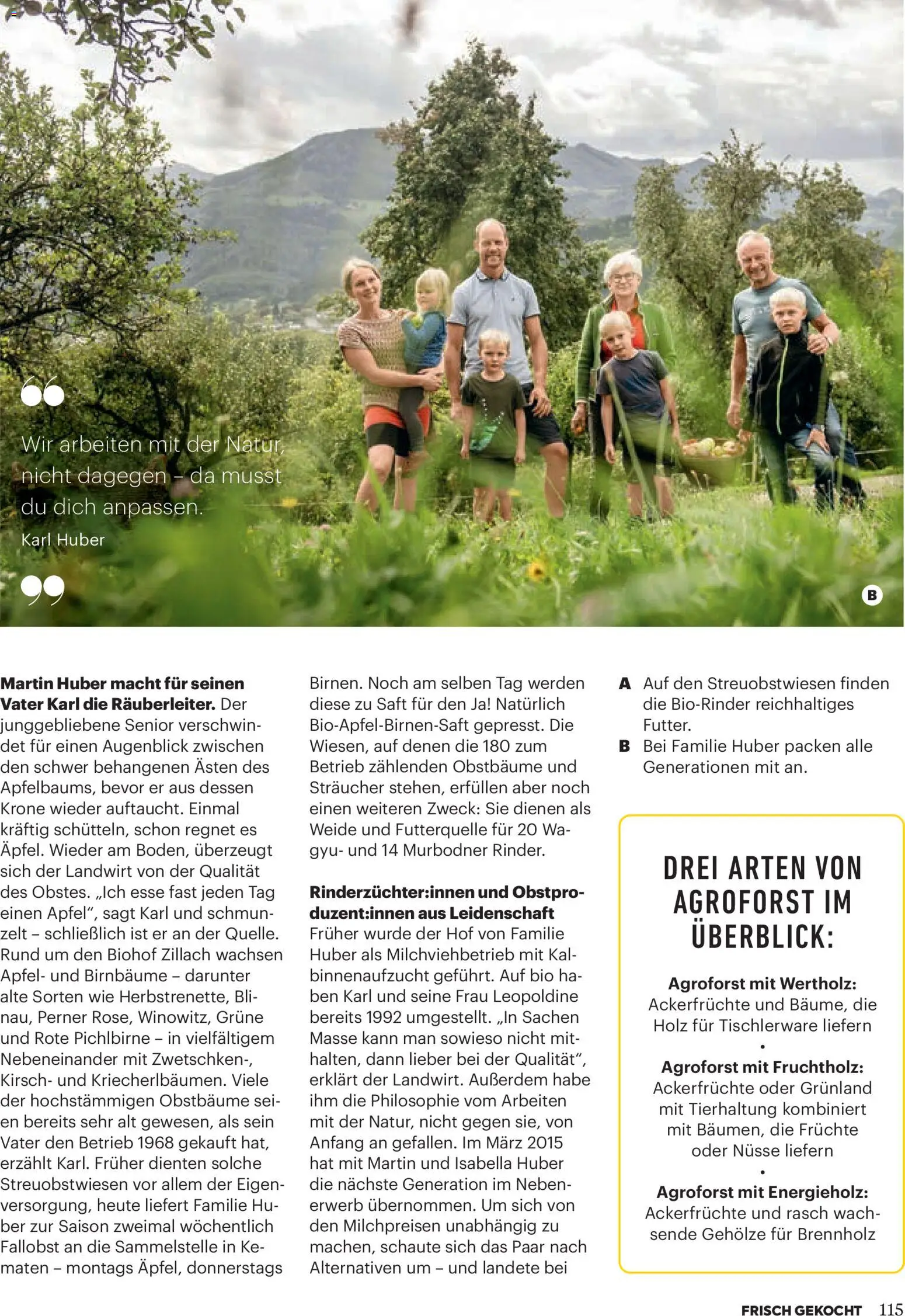 Billa  Frisch Gekocht gültig ab 01.01.2026 | Seite: 111 | Produkte: Nüsse, Saft, Äpfel