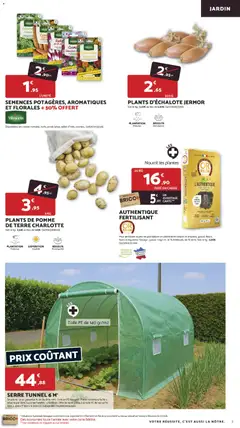 Bricomarché - Prévisualisation de Bricomarché catalogue valide à partir de 11.02.2026 | Page: 7 | Produits: Pomme, Plantes, Porte, Carotte