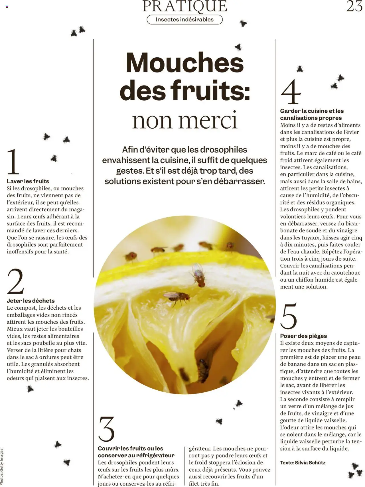 Migros - Magazin FR ab 18.08.2025 | Seite: 23