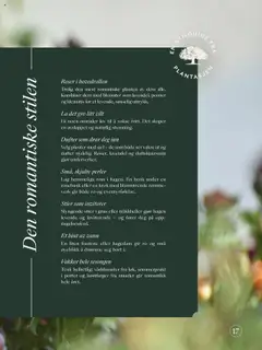  | Side: 17 | Produkter: Будівельні суміші, Persienn, Benk, Cremă pentru față