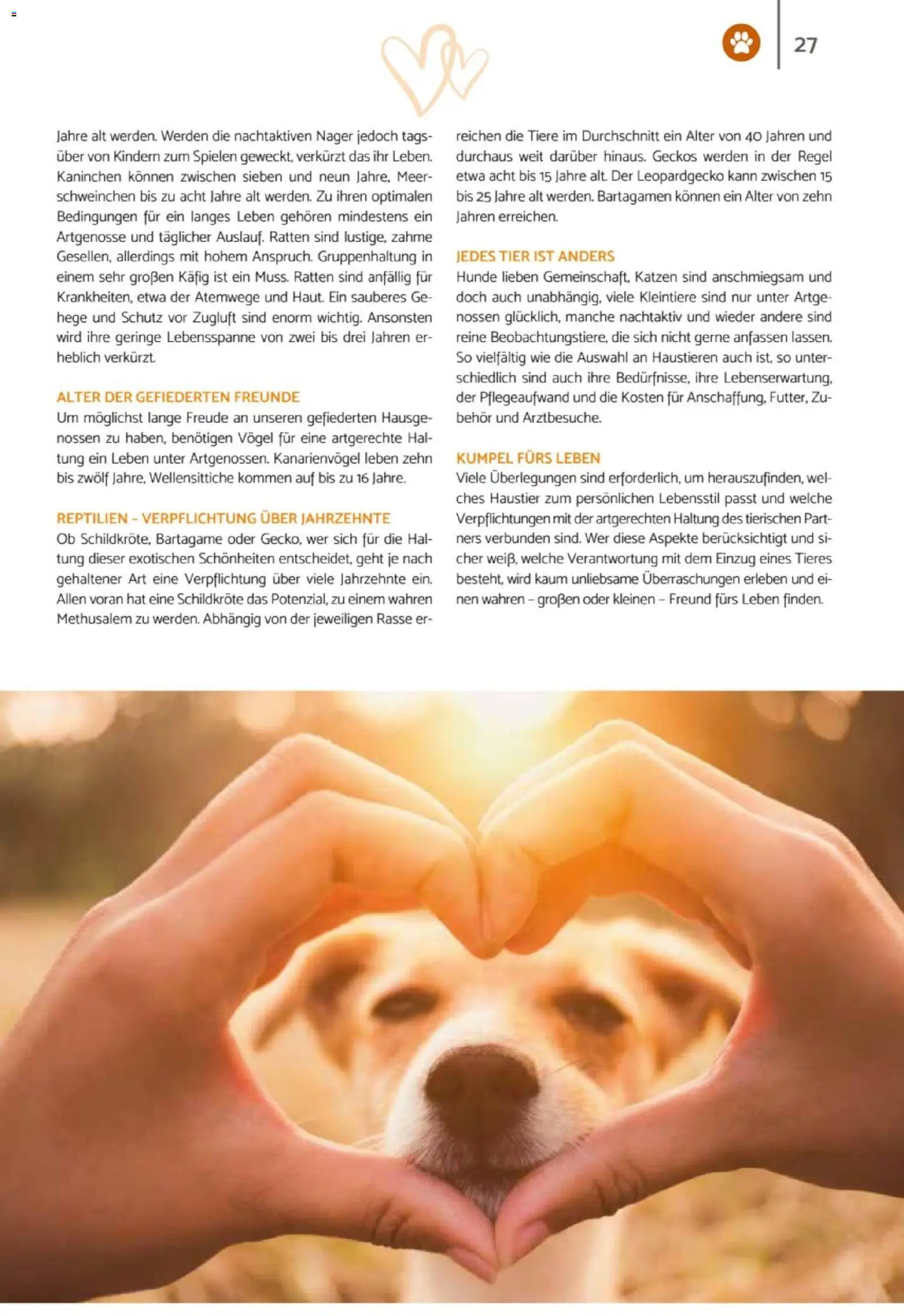 zookauf  Heimtier Journal – gültig ab 01.02.2026 | Seite: 27 | Produkte: Kaninchen