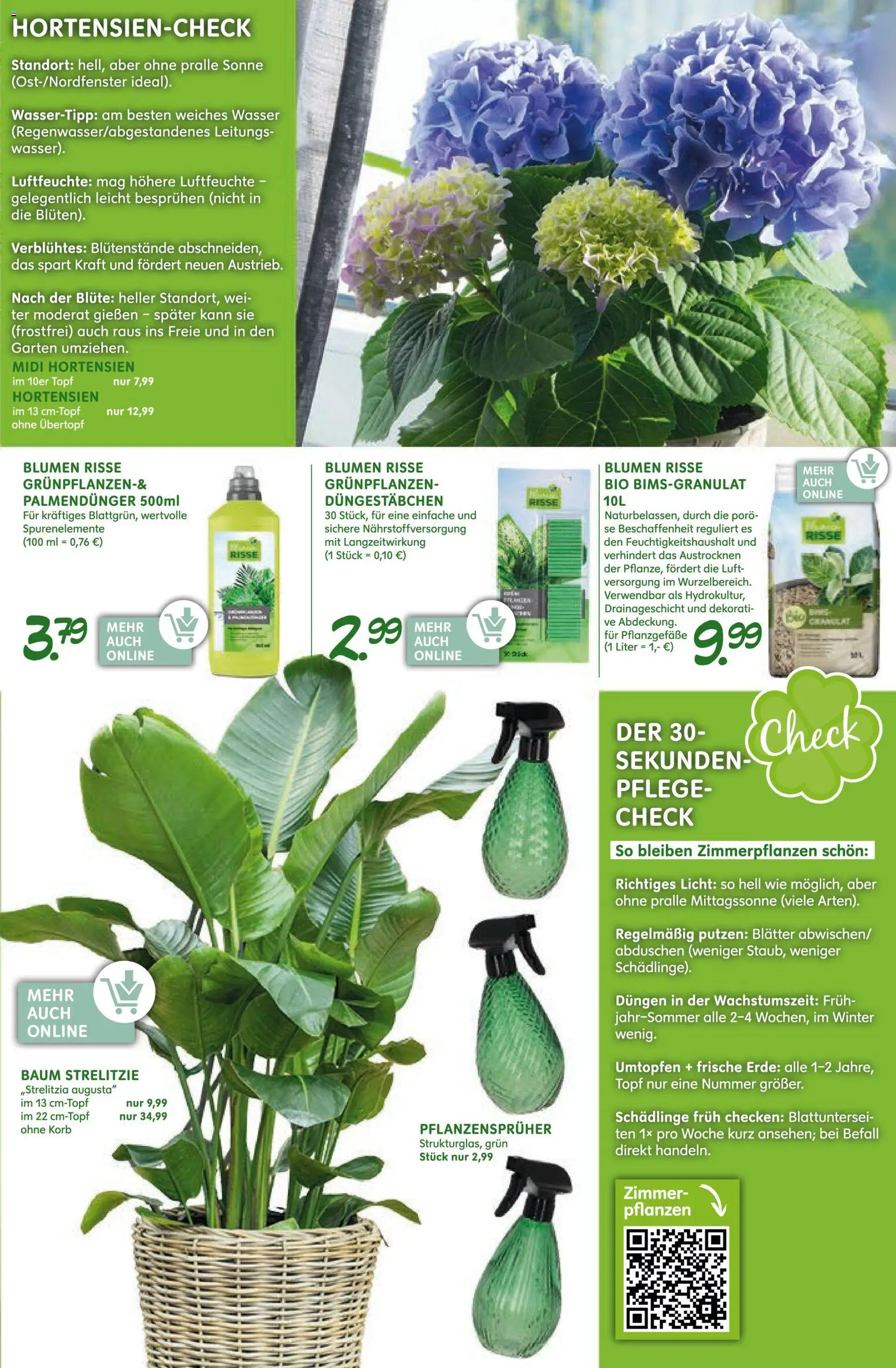 Blumen Risse Prospekt gartencenter – gültig ab 12.03.2026 | Seite: 13 | Produkte: Korb, Blumen, Wasser