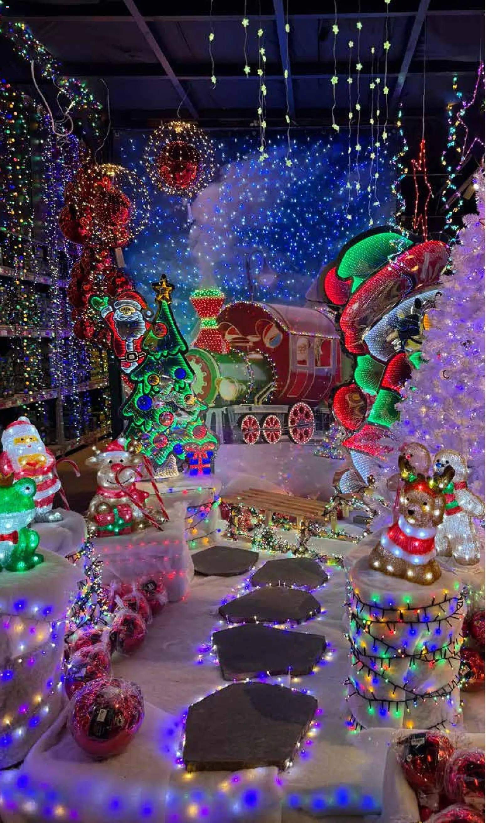 Pflanzen-Kölle Weihnachtsmarkt-Prospekt – gültig ab 10.11.2025 | Seite: 16