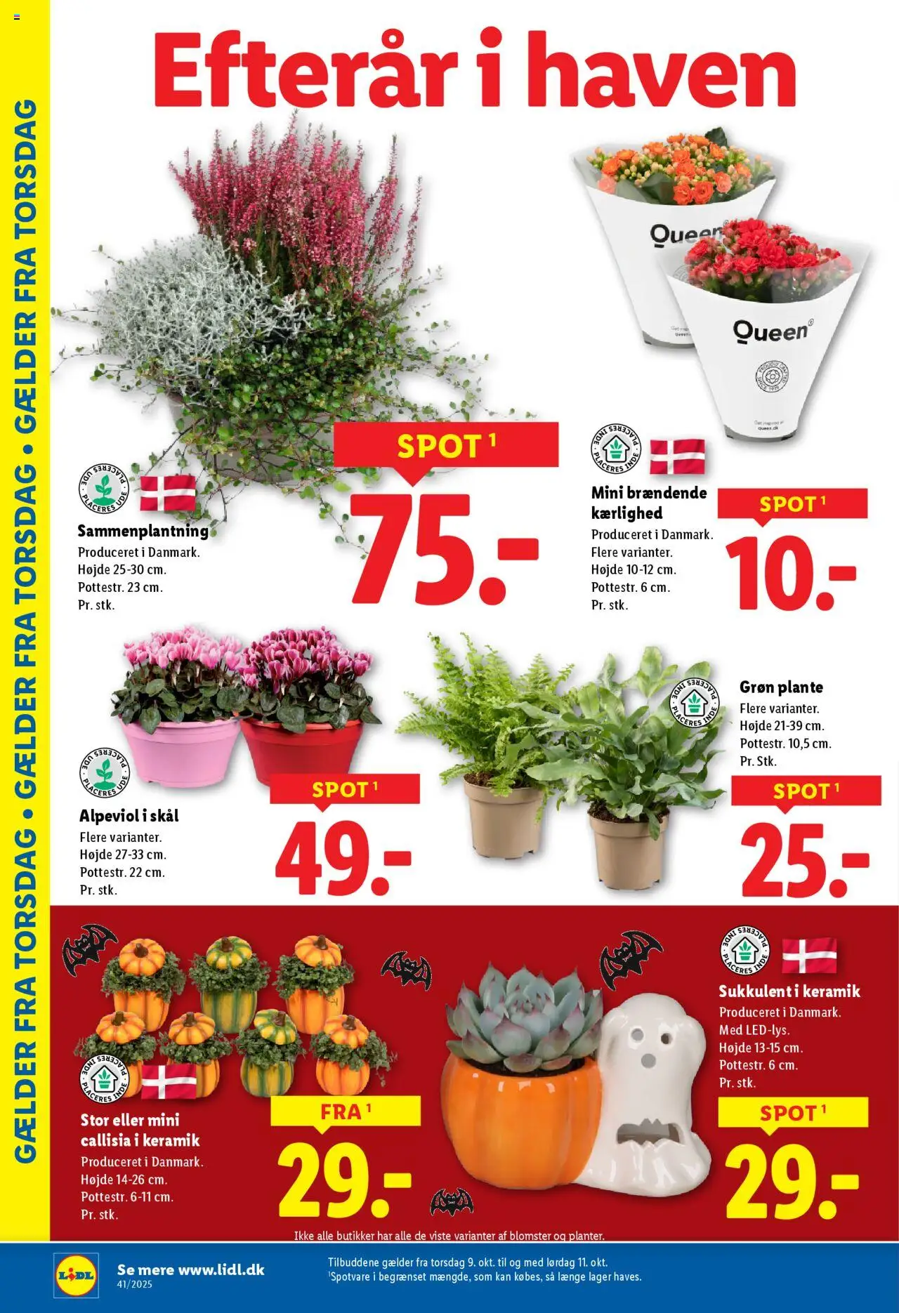 Lidl tilbudsavis – gyldig fra 05.10.2025 | Side: 6 | Produkter: Søm