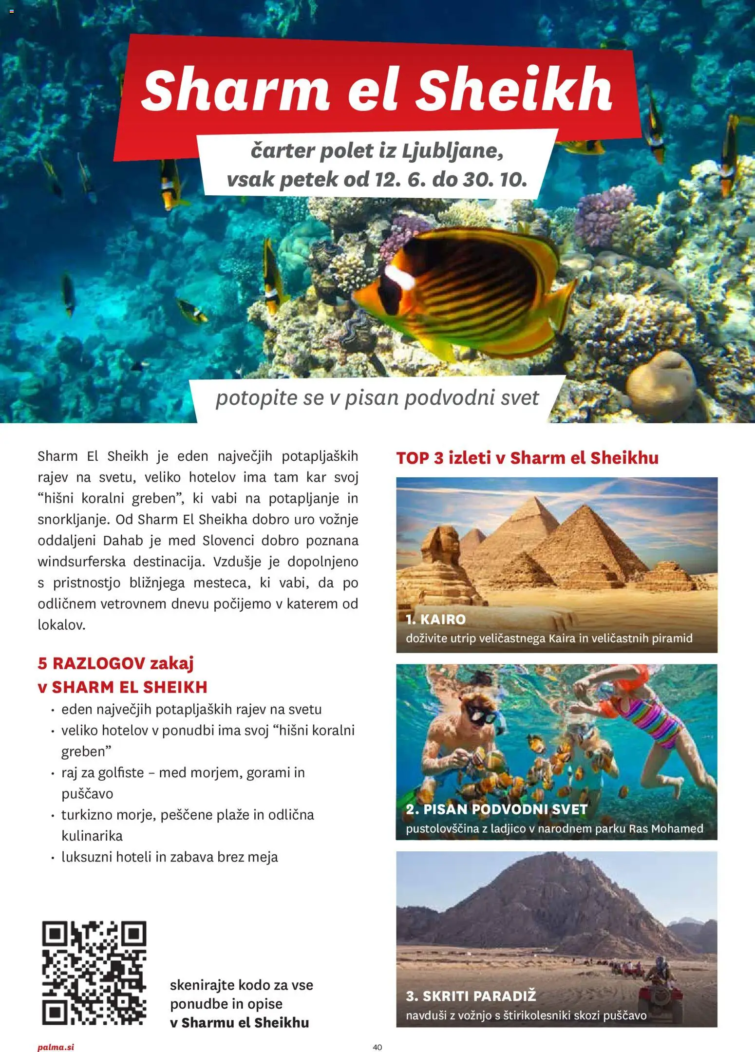 Novi Palma katalog ponudbe – veljaven od 01.01.2026 | Stran: 40