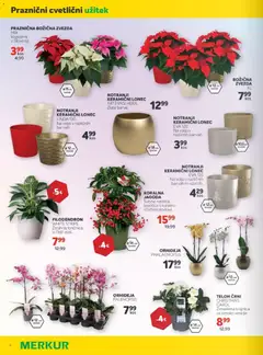 Merkur katalog akcije – veljaven od 03.12.2025 | Stran: 8 | Izdelki: Kos