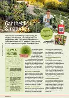 Bauhaus Reiche Ernte Magazin 2025 ab 01.07.2025 gültig | Seite: 40