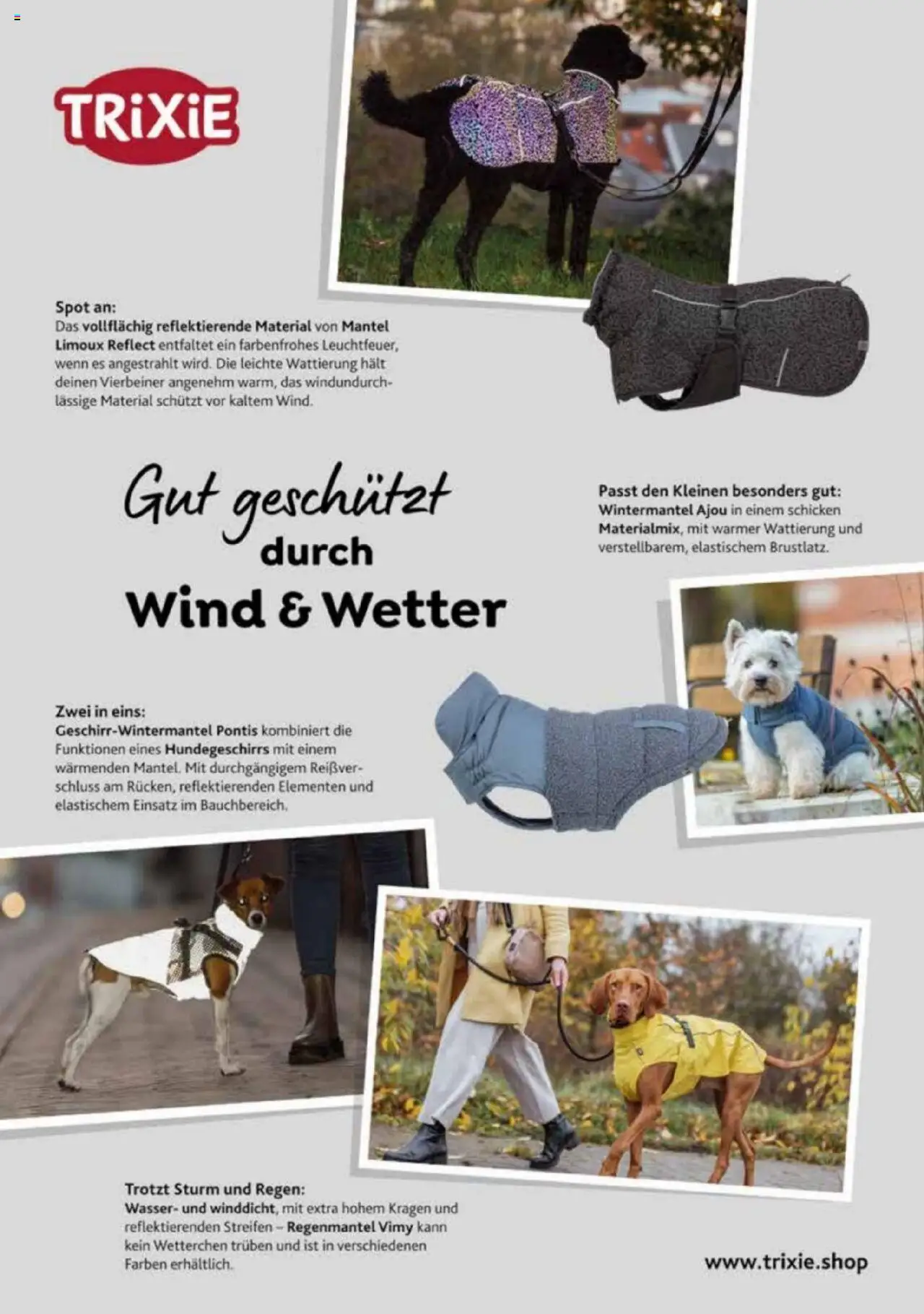 zookauf Heimtier Journal – gültig ab 01.10.2025 | Seite: 2 | Produkte: Wasser, Mantel