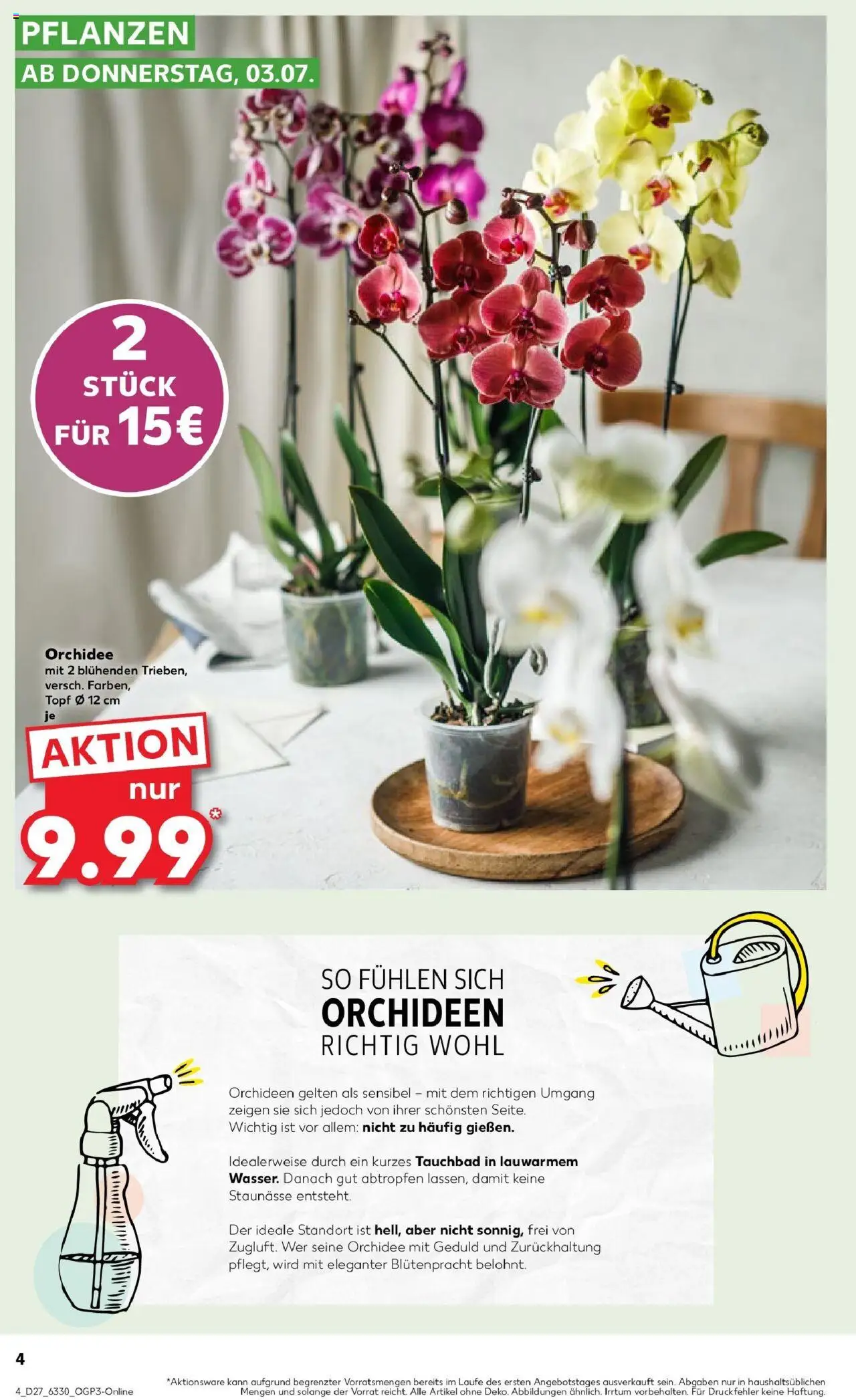 Kaufland prospekt Gütersloh	 - gültig ab dem 03.07.2025 | Seite: 4 | Produkte: Orchidee