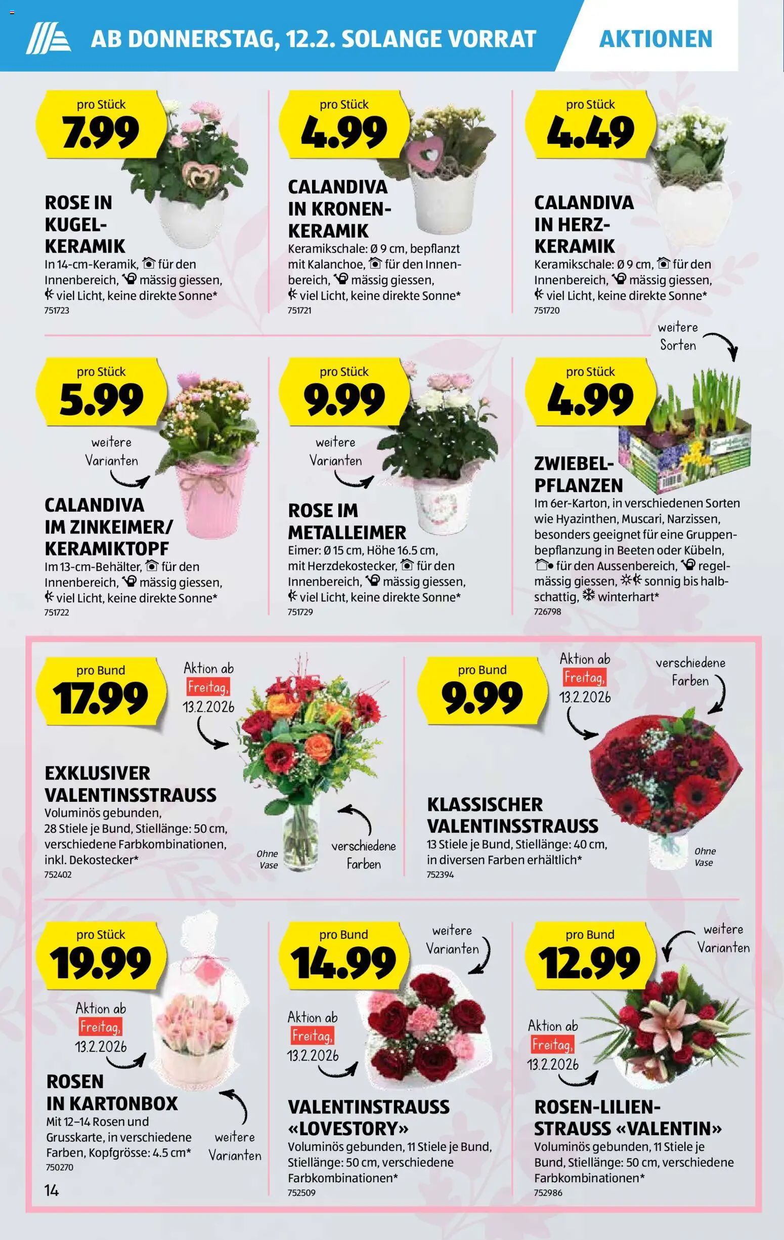 Aldi Aktionen – gültig ab 12.02.2026 | Seite: 15