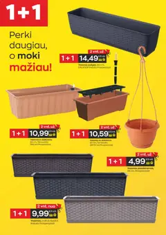Jupoja leidinys galioja nuo 08.04.2026 | Puslapis: 6 | Prekių: Vazonas