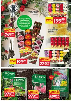 Idea katalog - pregled Idea kataloga - važi od 19.03.2026 | Strana: 31