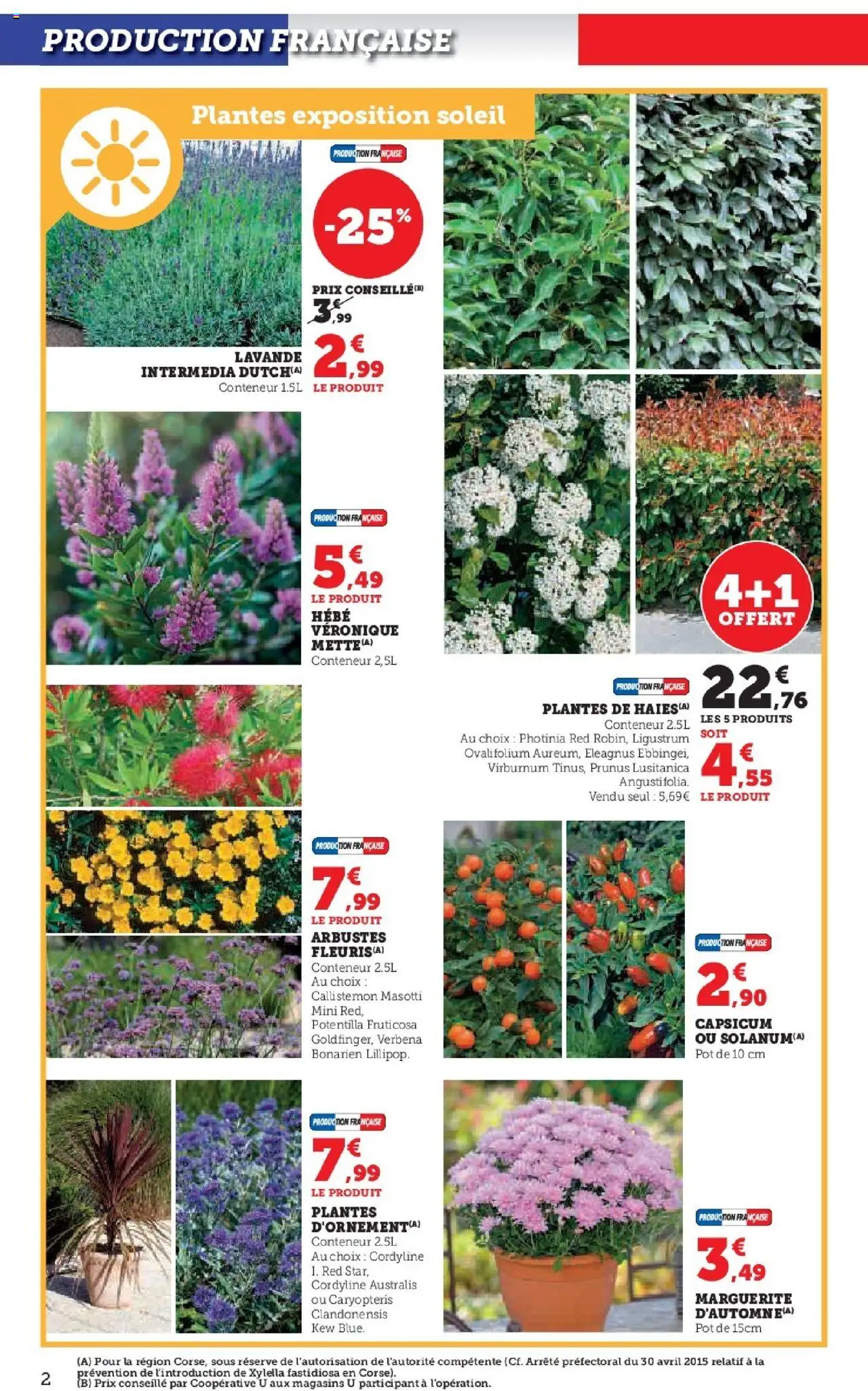  | Page: 2 | Produits: Lavande, Plantes