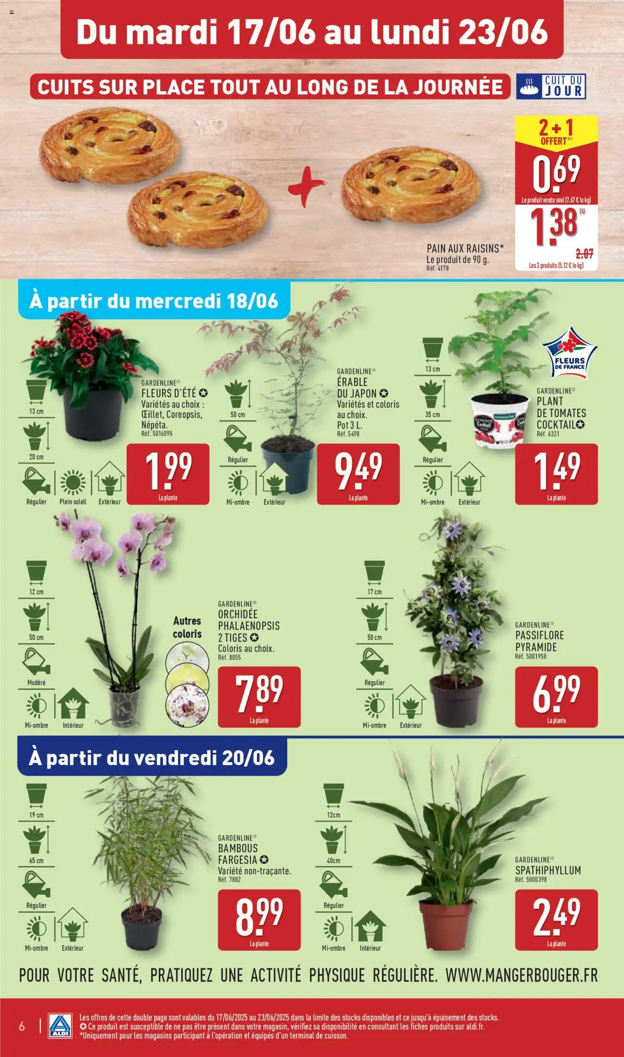  | Page: 9 | Produits: Érable du japon, Orchidée, Pain, Tomates