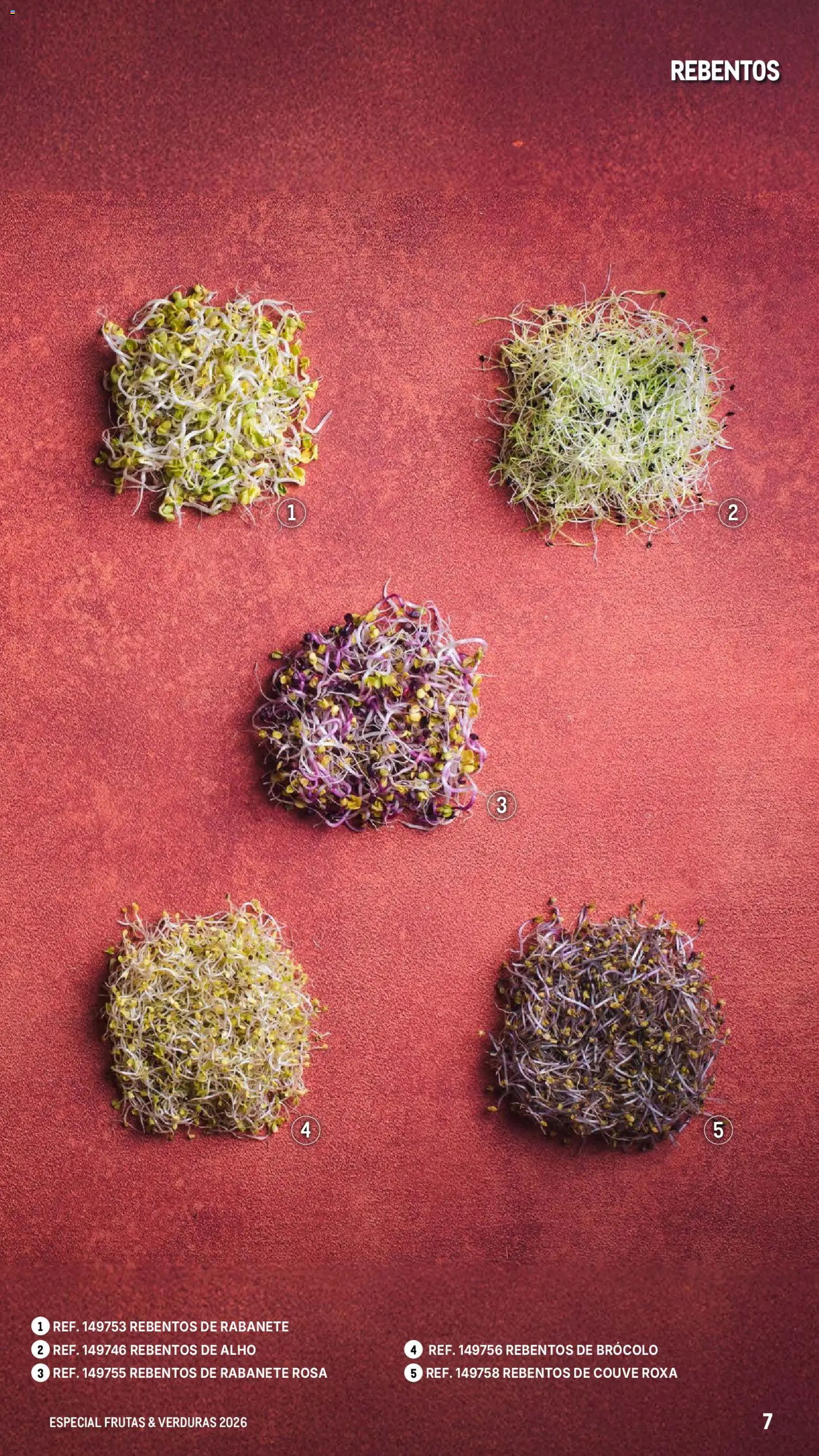 Makro Especial Frutas e Verduras 2026 │ válido de 06.03.2026 | Página: 7 | Produtos: Couve