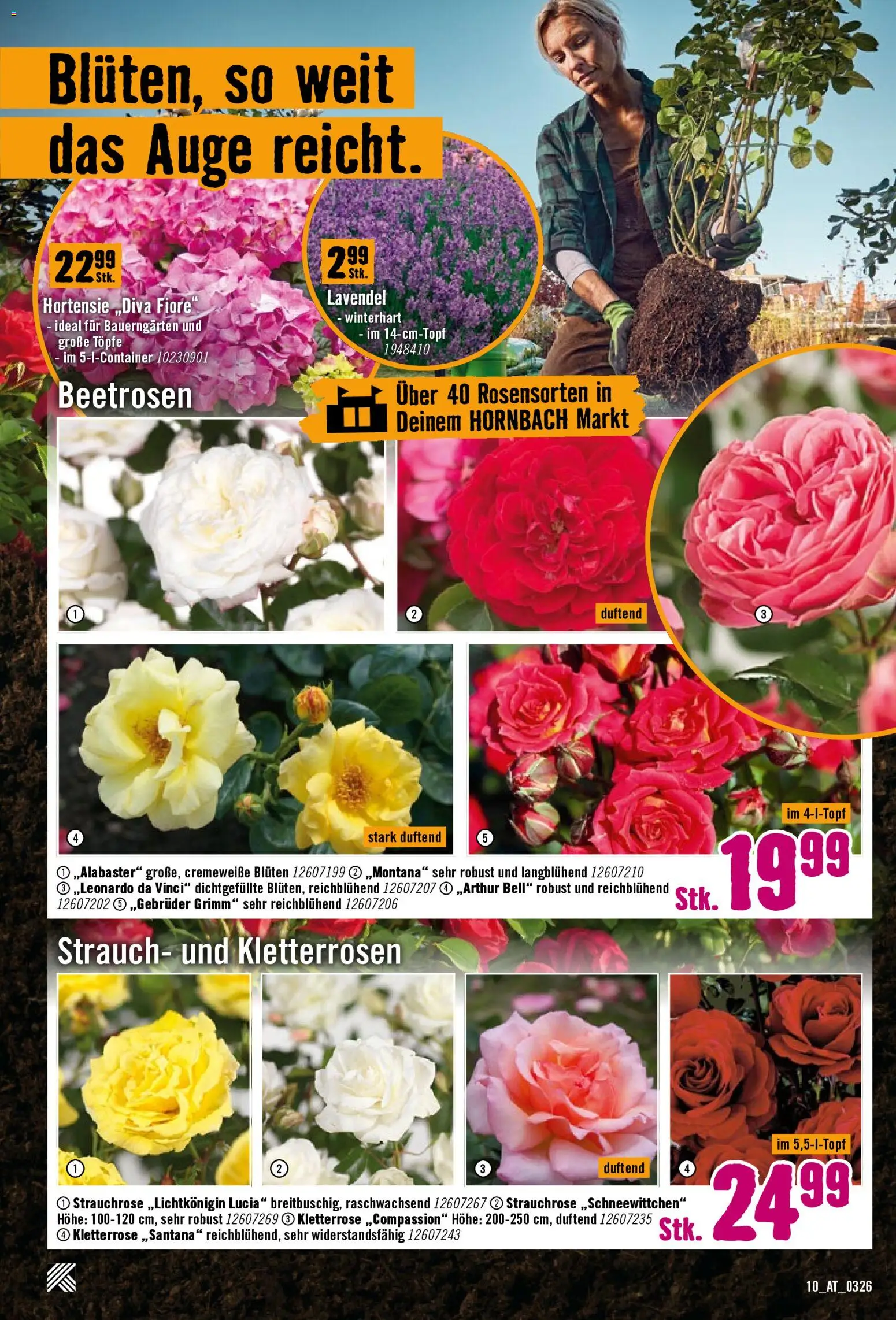 Hornbach Flugblatt gültig ab 17.03.2026 | Seite: 10