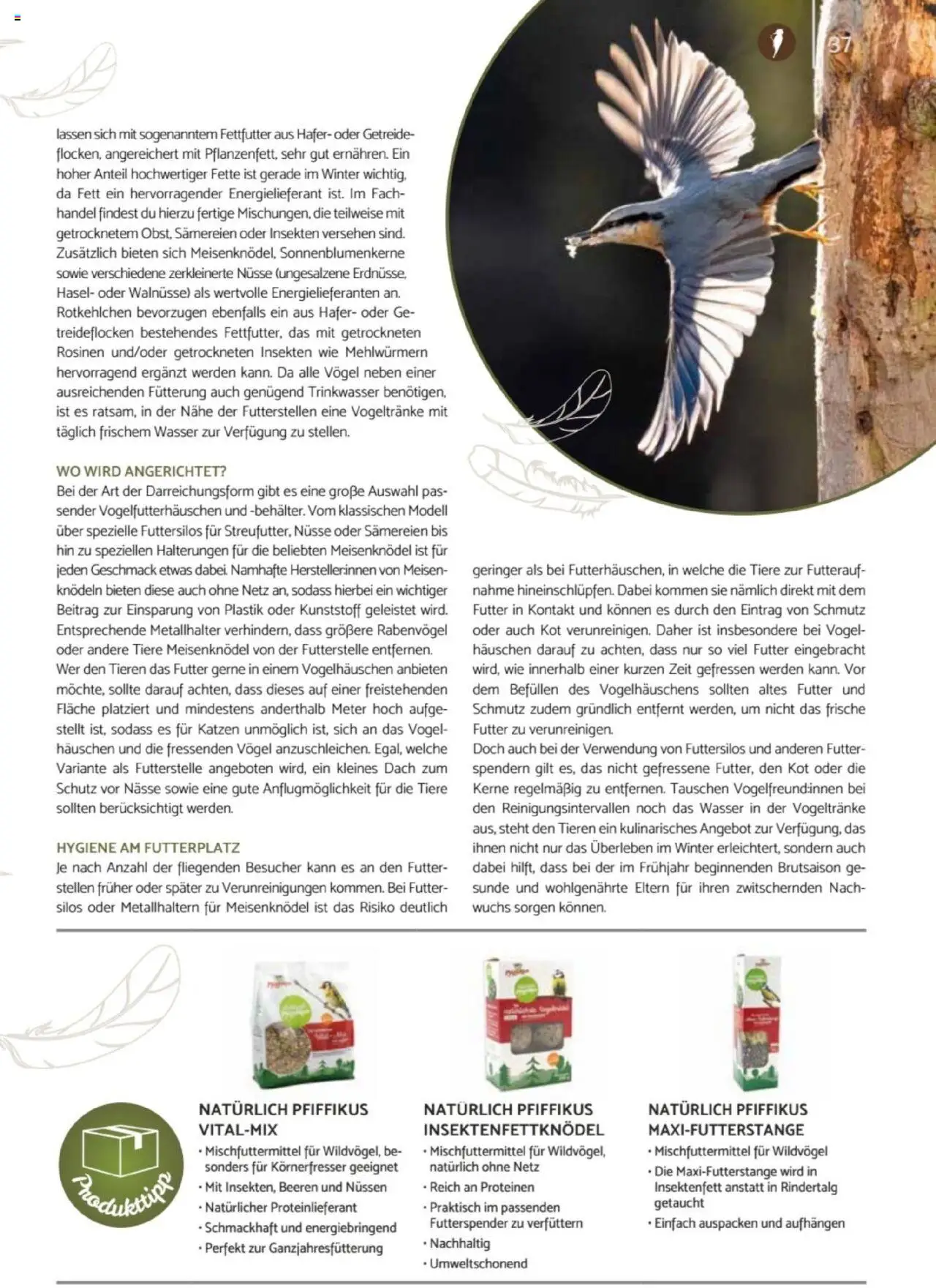 zookauf Heimtier Journal – gültig ab 01.10.2025 | Seite: 37 | Produkte: Walnüsse, Rosinen, Getreide, Nüsse