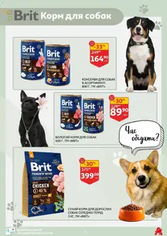 Ашан акції дійснийкції з 11.03.2026 | Сторінка: 6