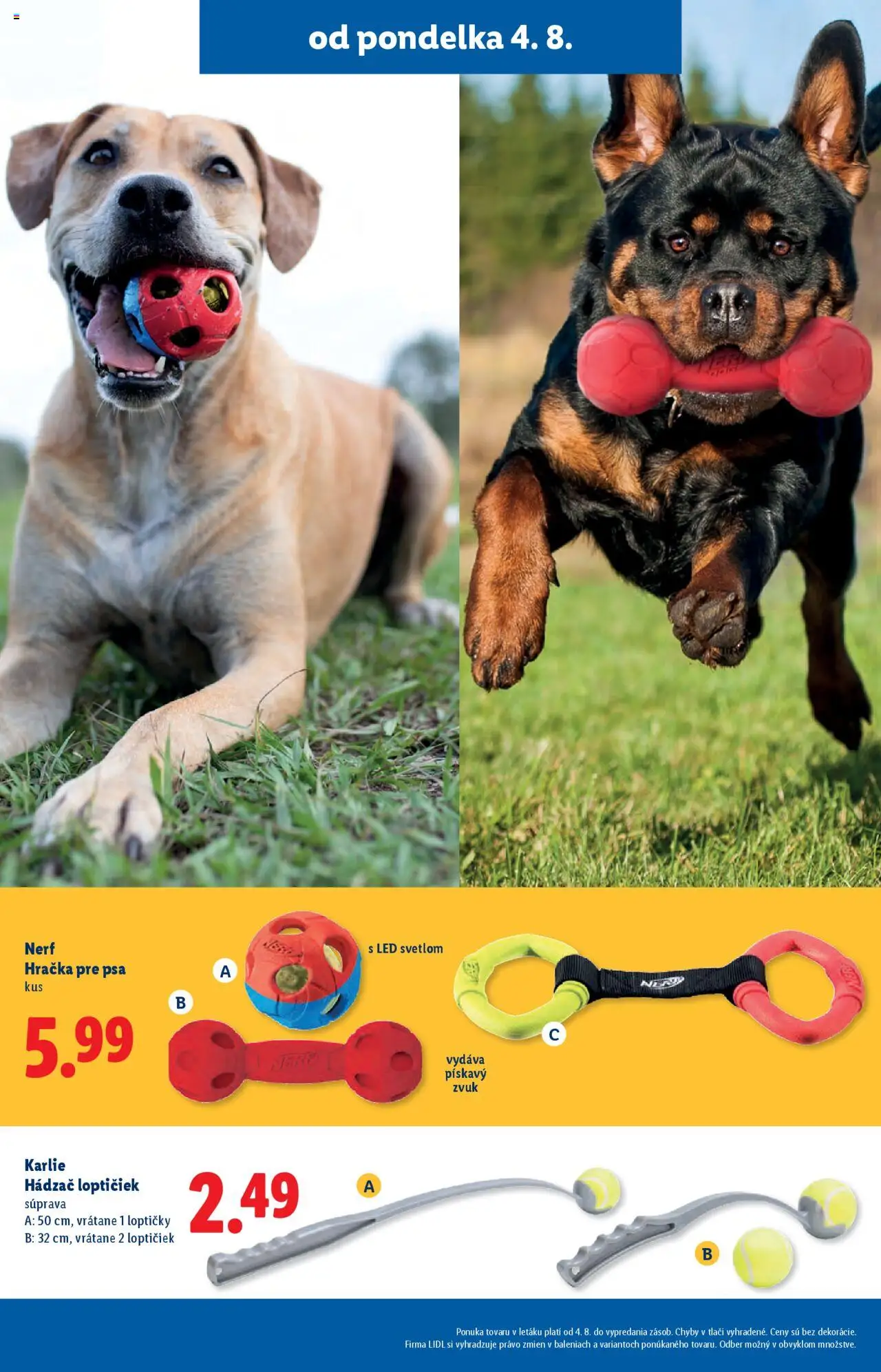 Lidl leták │ platný od 04.08.2025 | Strana: 49 | Produkty: Led