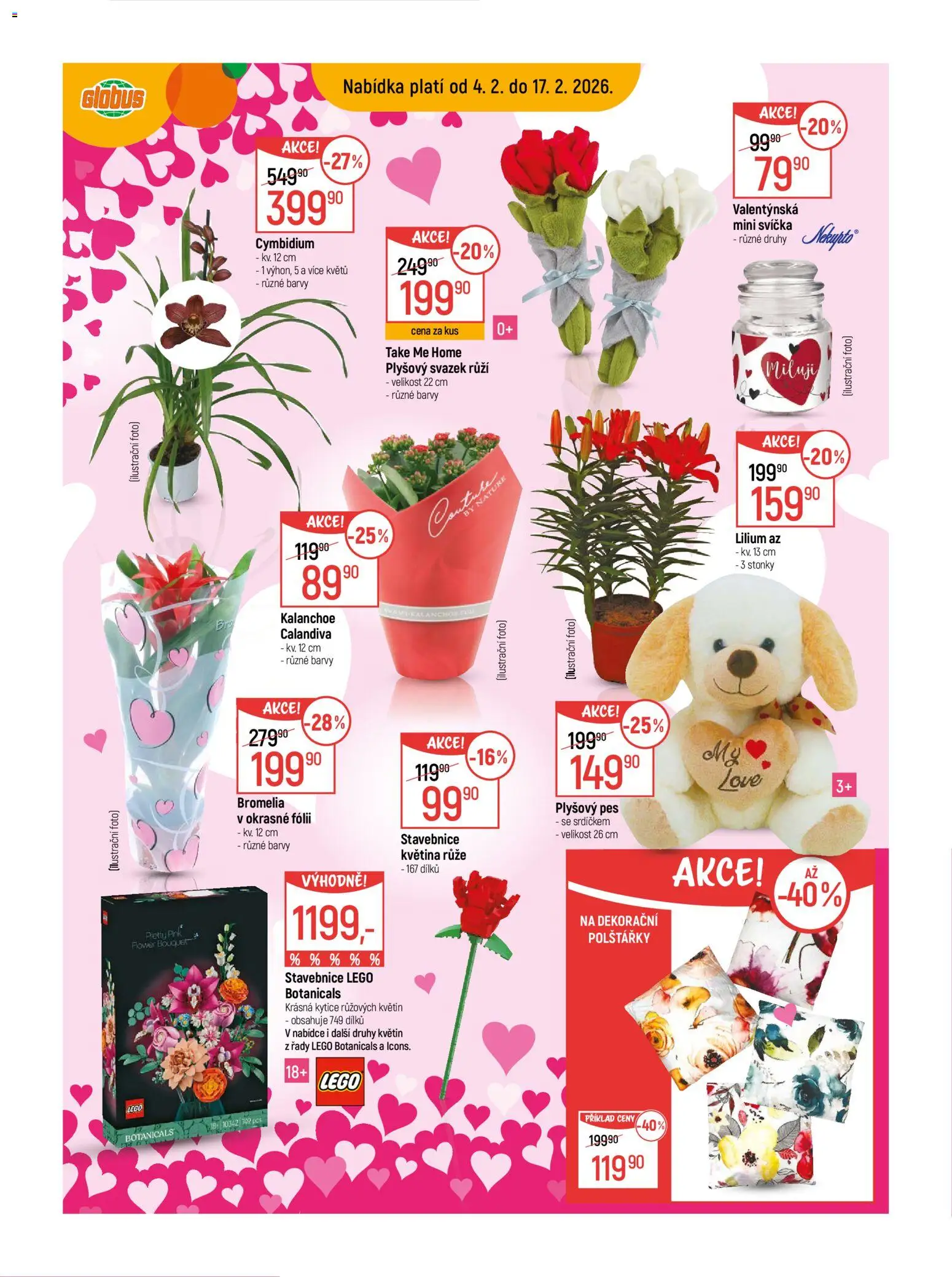 Globus leták - Chomutov od 04.02.2026 | Strana: 14 | Produkty: Kalanchoe, Kytice, Barvy, Pes