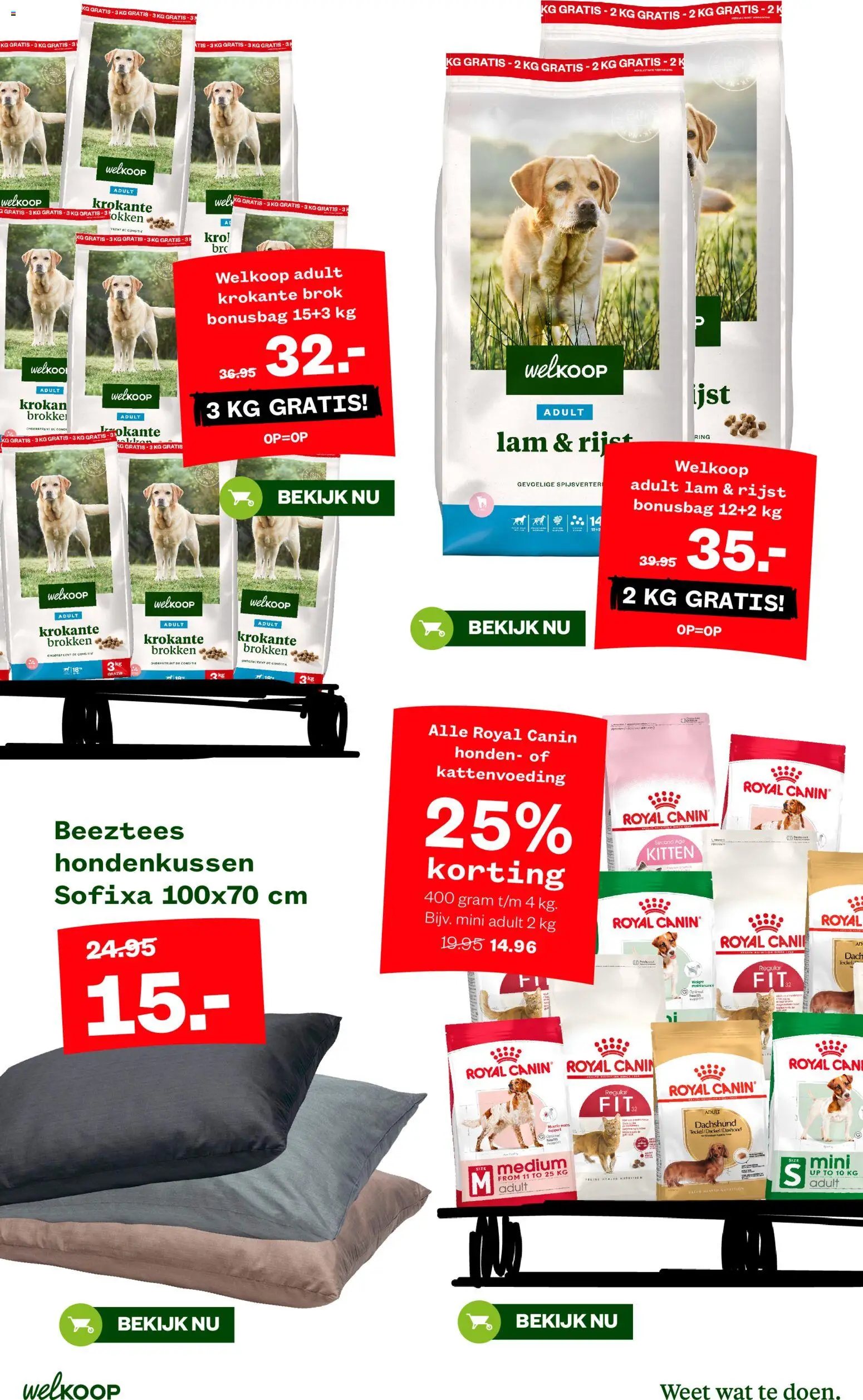 {H1} | Pagina: 2 | Producten: Kool, Rijst, Ring