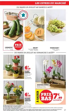  | Page: 17 | Produits: Raisin, Orchidée