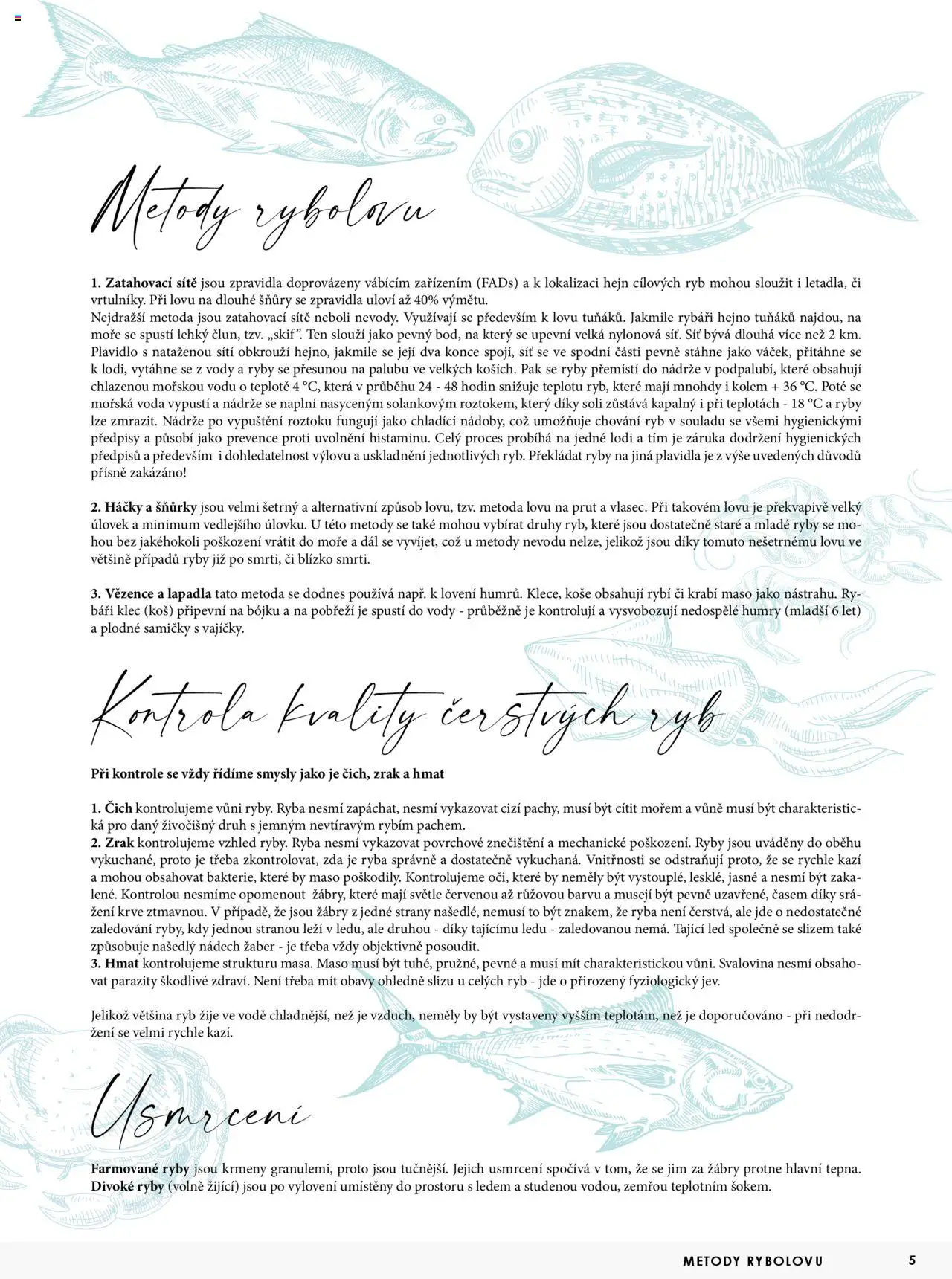 Jip katalog ryby 2024/25 od 30.12.2024 | Strana: 5 | Produkty: Síť, Ryba, Ryby, Prut