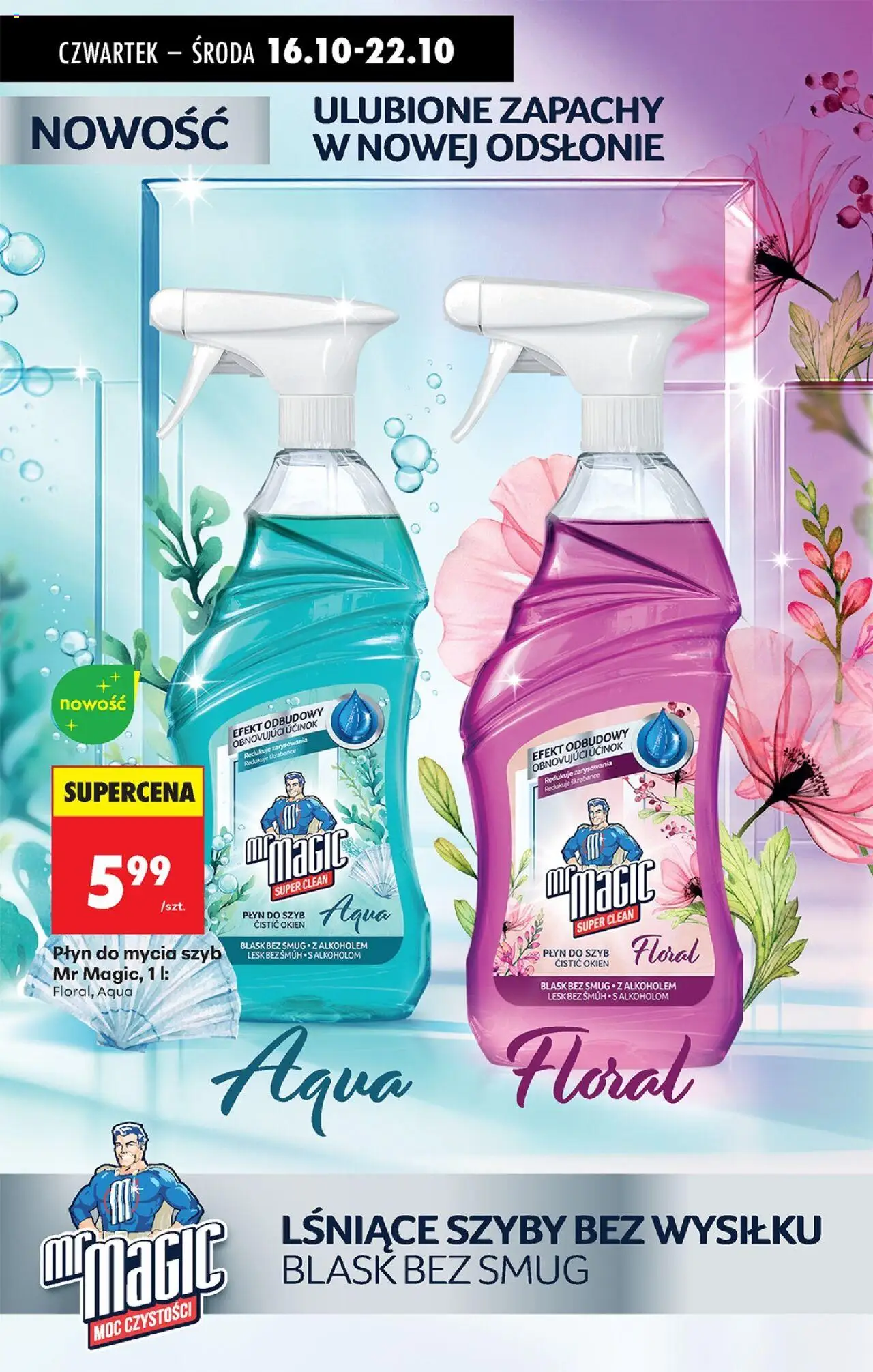 Biedronka gazetka - Oferta w tym tygodniu od 16.10.2025 | Strona: 77 | Produkty: Płyn do mycia szyb, Cleaner