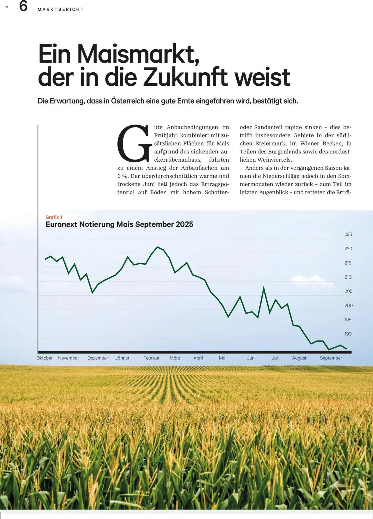 Lagerhaus Unser Land Oktober 2025 gültig ab 01.11.2025 | Seite: 6