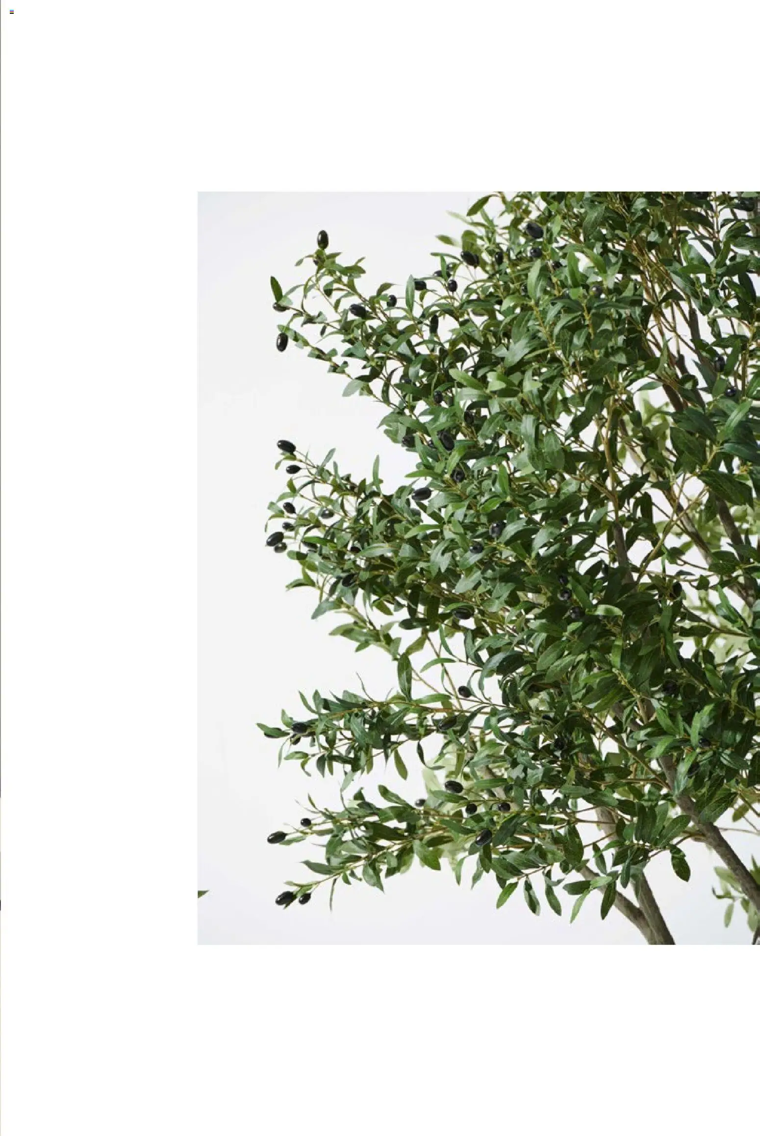 Mudo - Katalog Bahçe 2026  - 01.01.2026 tarihinden itibaren geçerlidir | Sayfa: 157