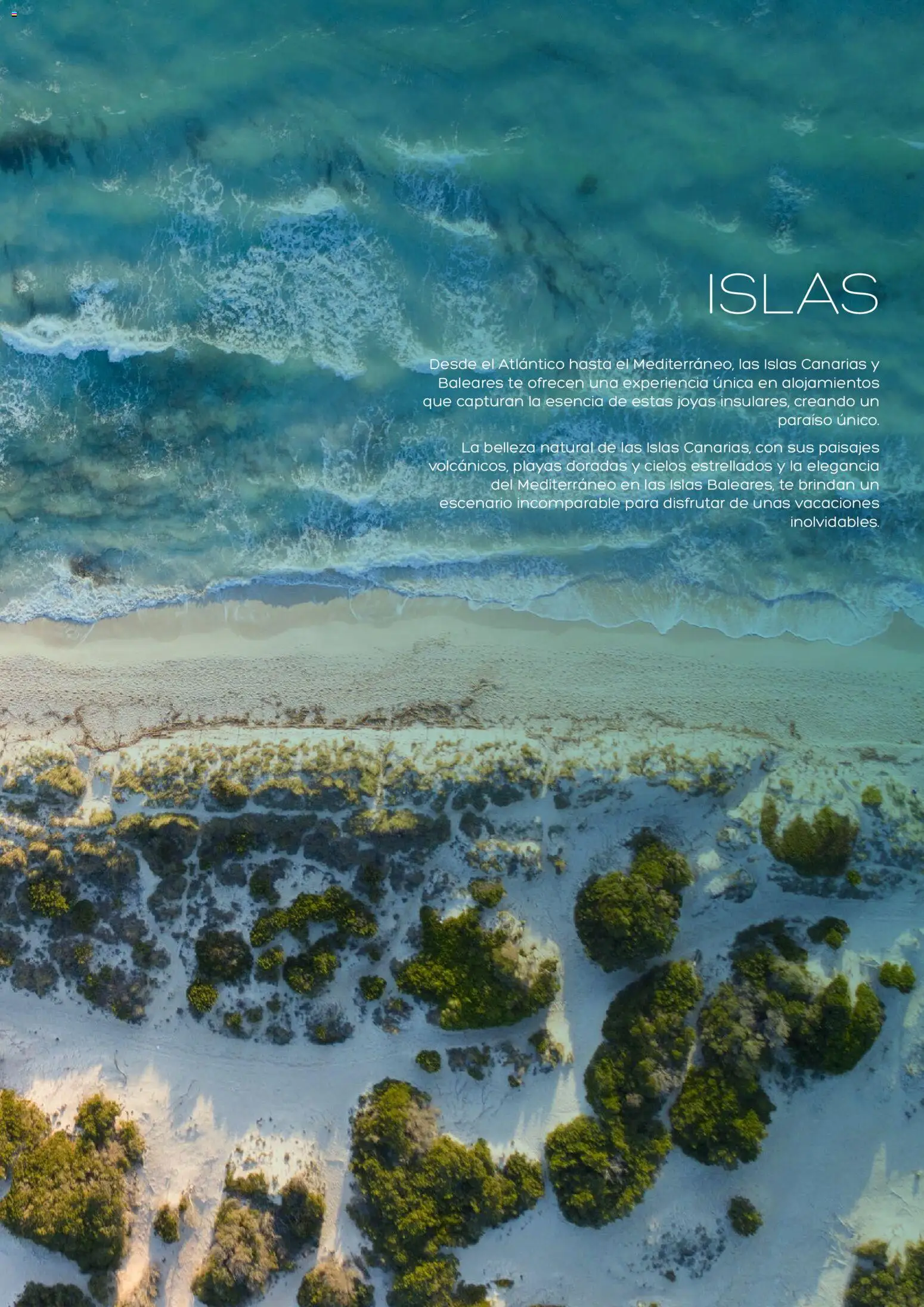 Viajes El Corte Inglés Club de Vacaciones │ válido desde el 01.02.2026 | Página: 41 | Productos: Té