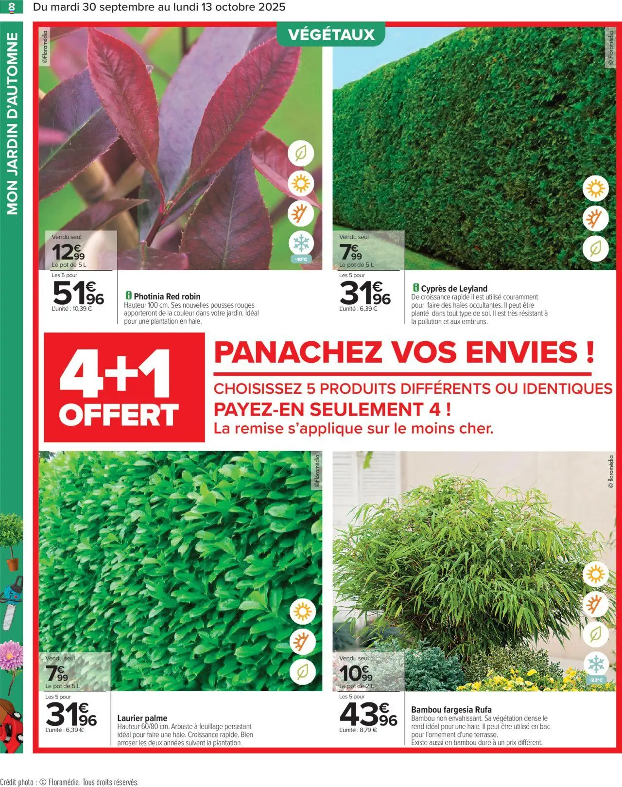  | Page: 10