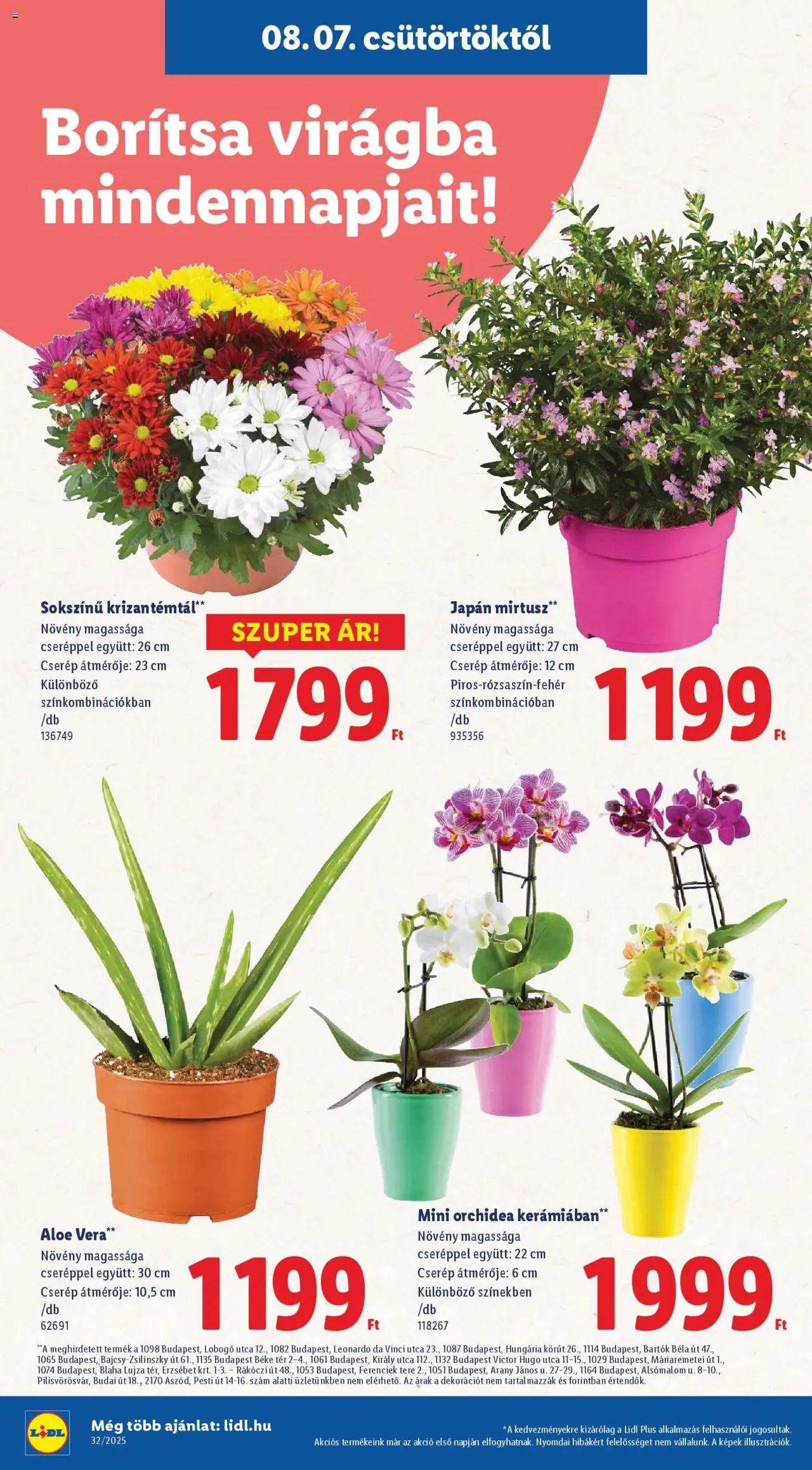 Lidl akciós ujság - amely érvényes a következő dátumtól: 07.08.2025 | Oldal: 16 | Termékek: Orchidea, Aloe vera