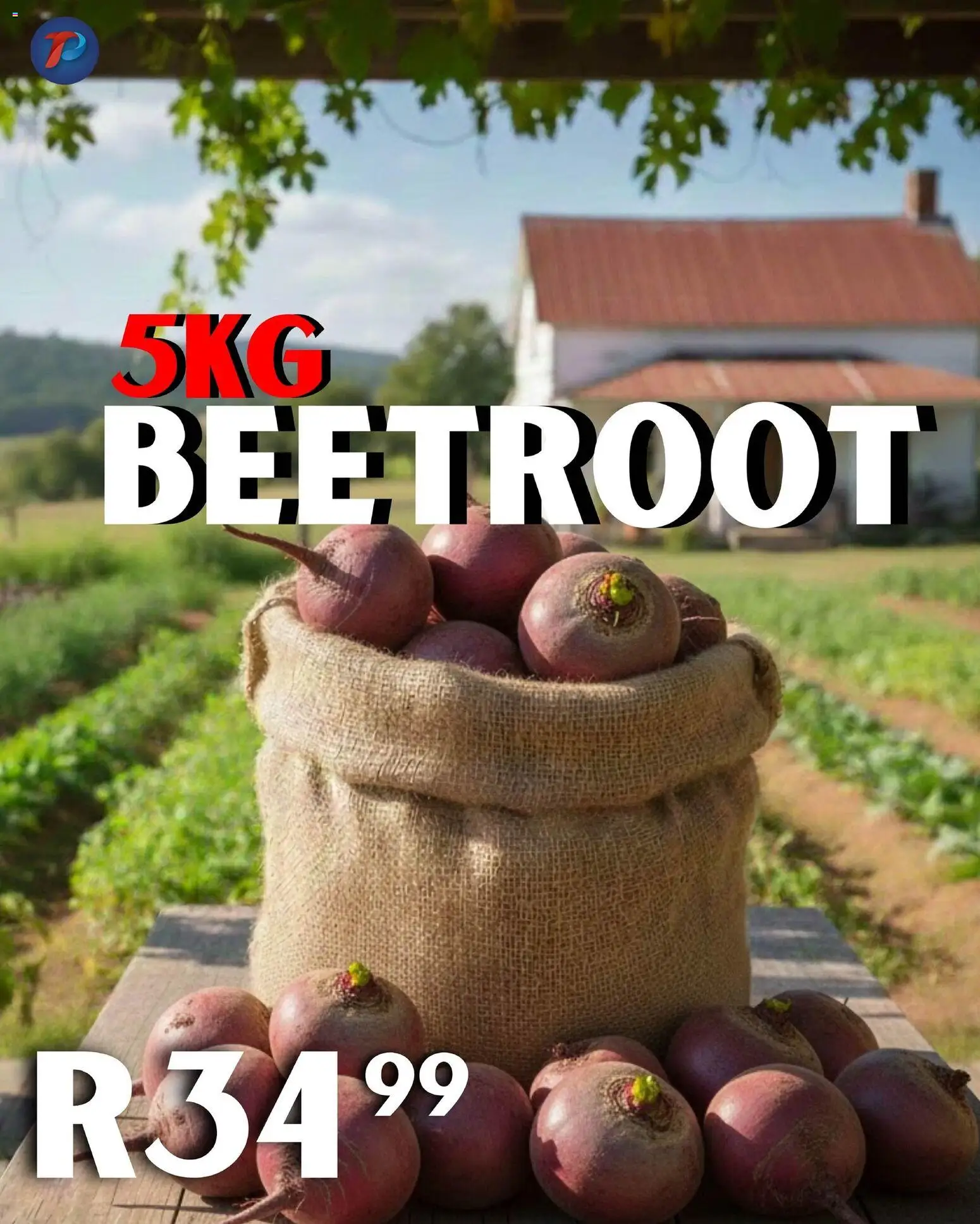 New Take n Pay catalogue – valid from 17.02.2026 | Page: 12