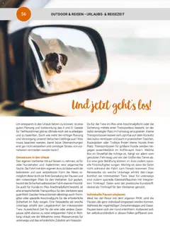 zookauf  Themenkatalog Hund ab 20.05.2025 gültig | Seite: 56 | Produkte: Liege, Box