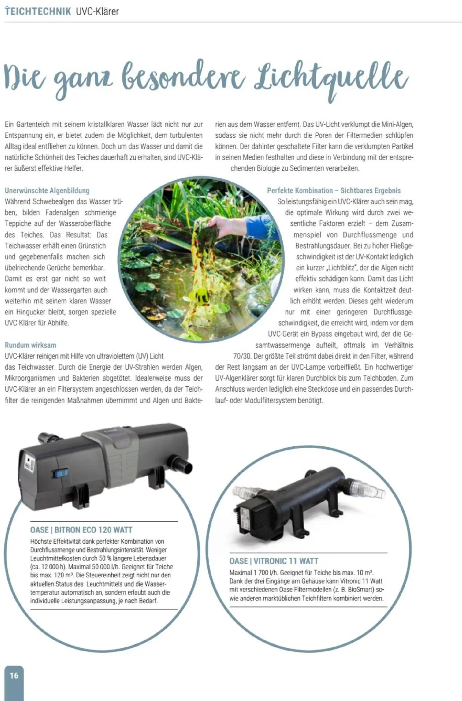 zookauf Themenkatalog Teich – gültig ab 23.03.2026 | Seite: 16 | Produkte: Steckdose, Wasser