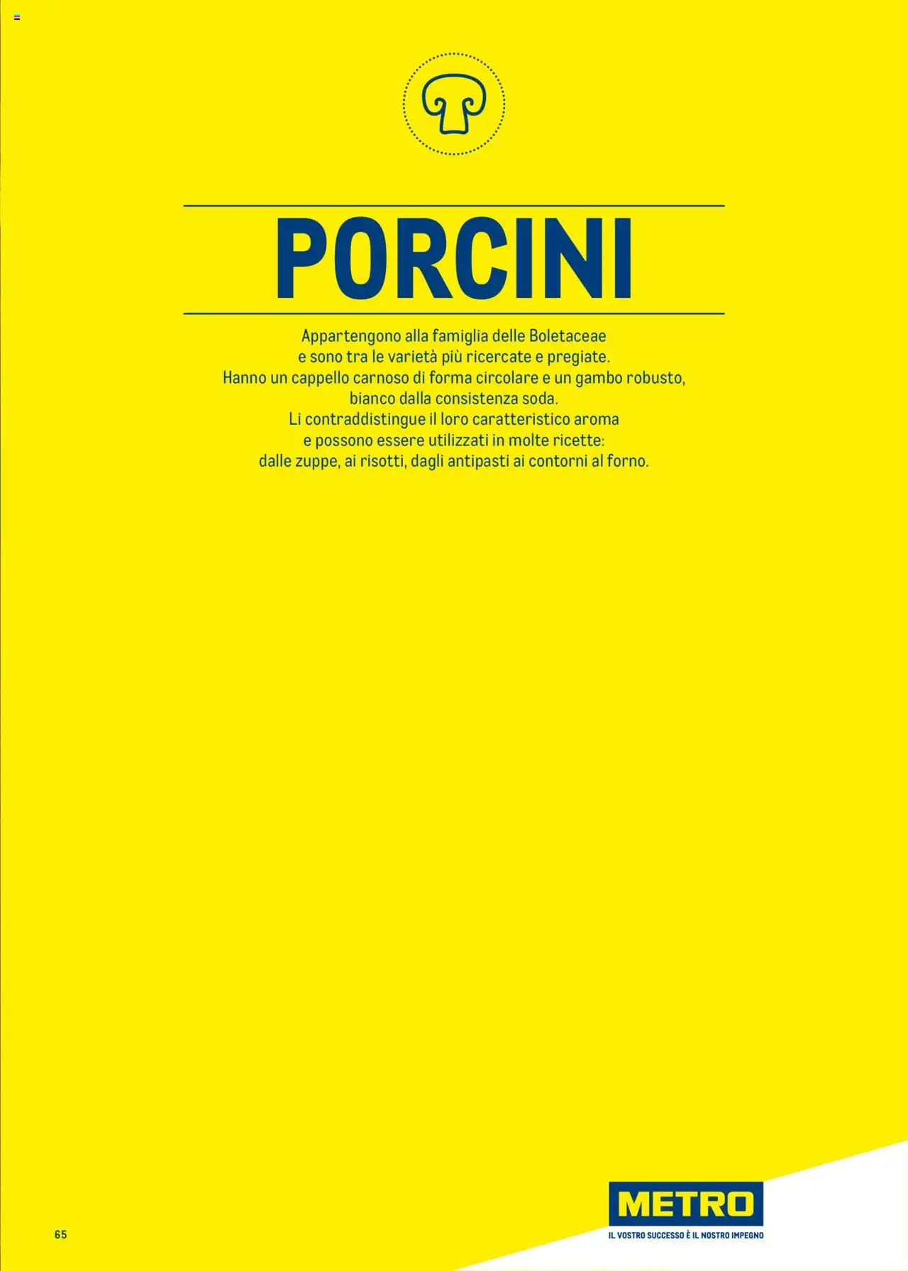 Volantino Metro del 30.06.2025 | Pagina: 65 | Prodotti: Un cappello, Cappello, Metro