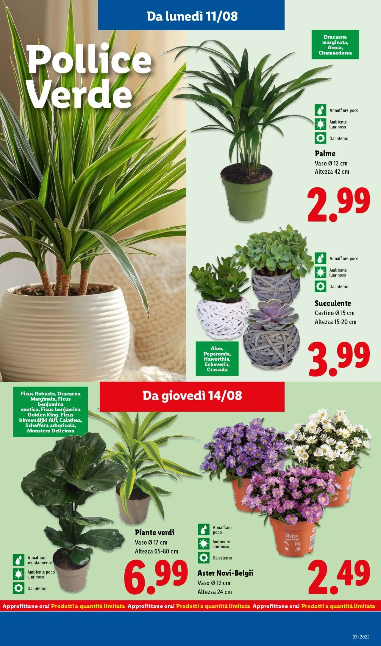 Volantino Lidl del 11.08.2025 | Pagina: 41 | Prodotti: Cestino, Vaso
