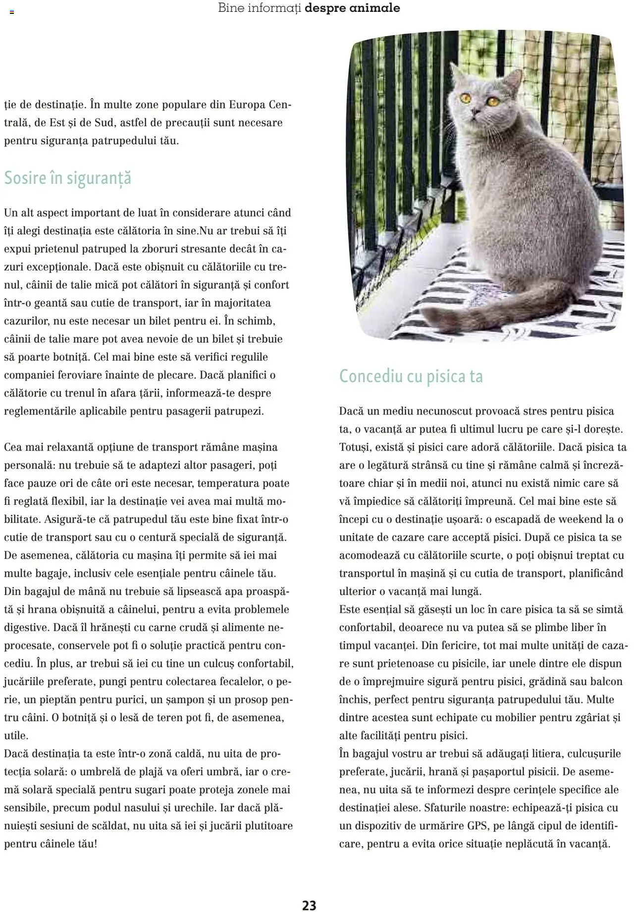 Catalog Fressnapf - Vară – valabil de la 05.05.2025 | Pagină: 23 | Produse: Umbrelă, Geantă, Cutie, Șampon