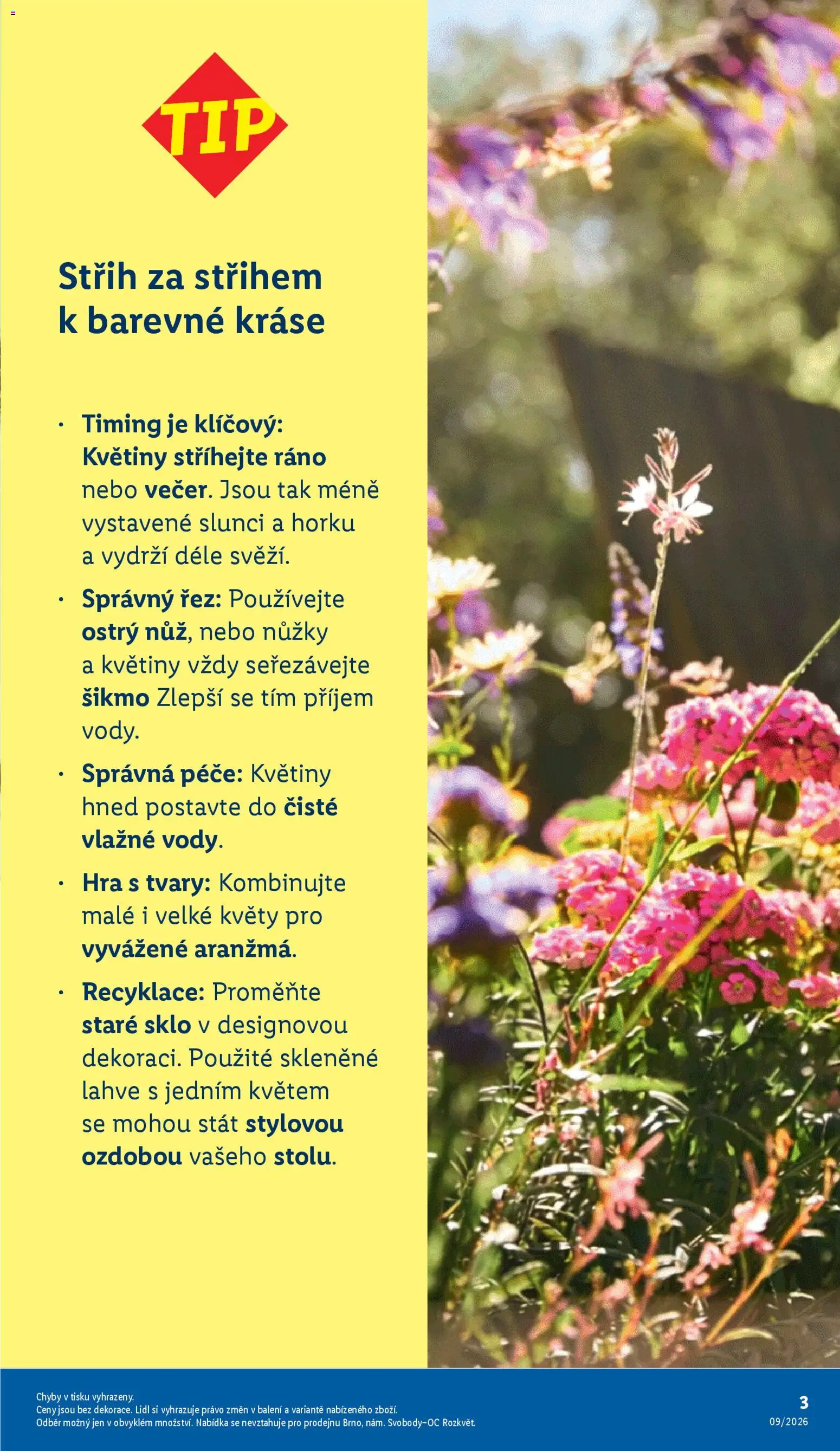 Lidl leták - Zahradní šuškanda od 24.02.2026 | Strana: 3 | Produkty: Nůžky, Hra, Lahve, Květiny