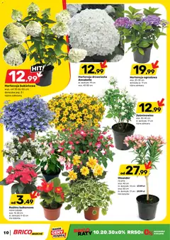 Pogląd oferty "Brico Marché gazetka" - ważna od 22.04.2026 | Strona: 10 | Produkty: Doniczka, Rosliny, Doniczki