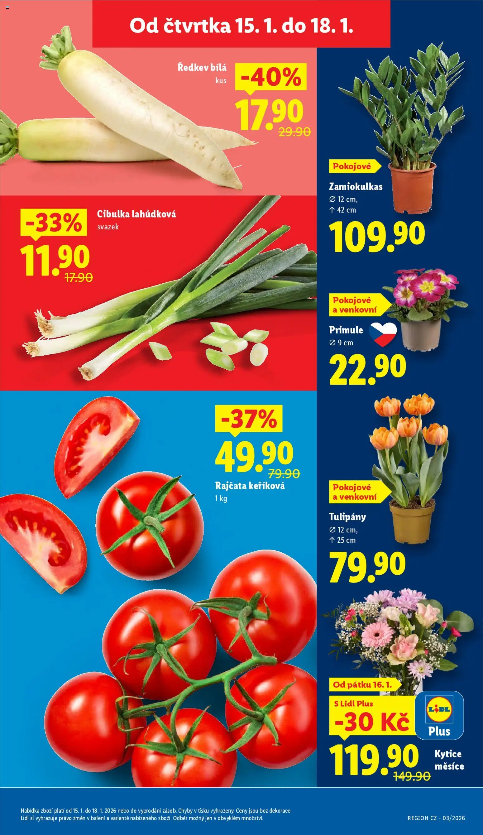 Lidl leták od 15.01.2026 | Strana: 9 | Produkty: Rajčata, Tulipány, Kytice