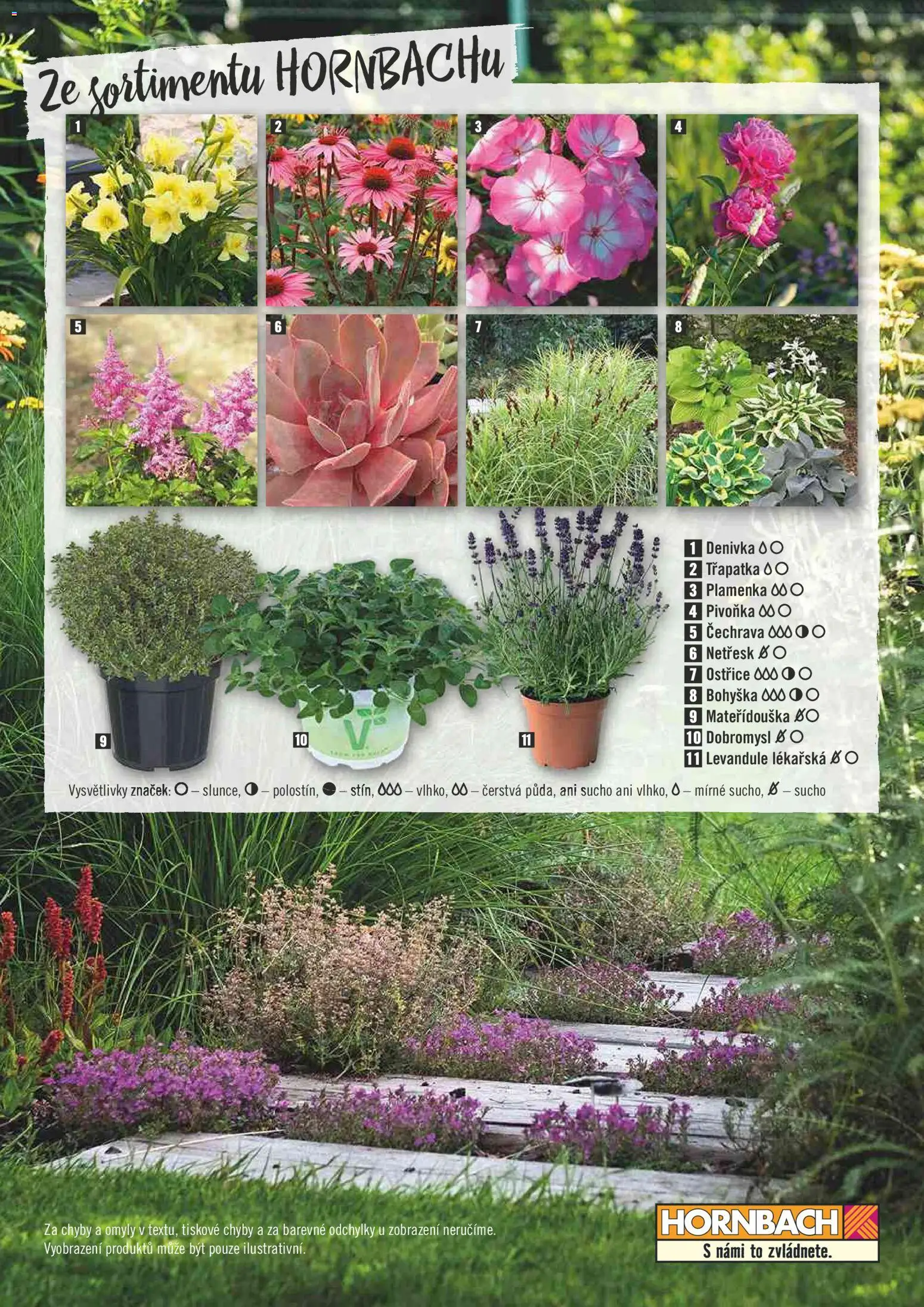 HORNBACH leták - Žijte ve své zahradě od 01.01.2026 | Strana: 8