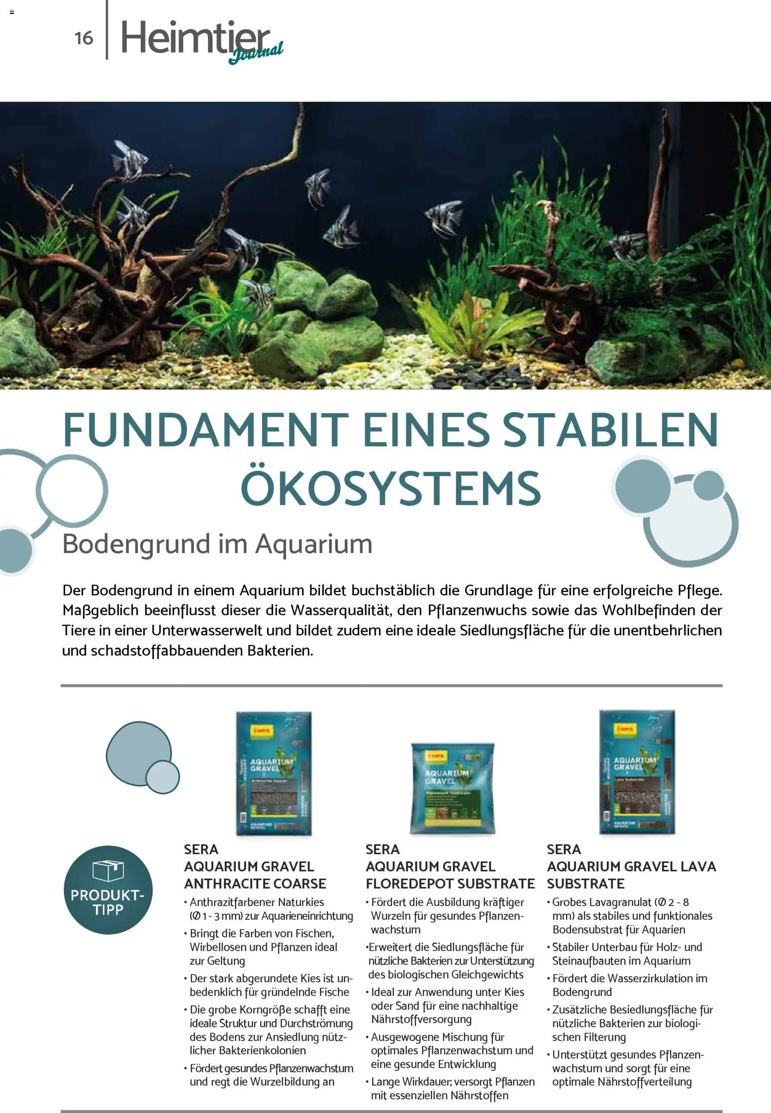 zookauf Prospekt 	 – gültig ab 01.02.2026 | Seite: 16