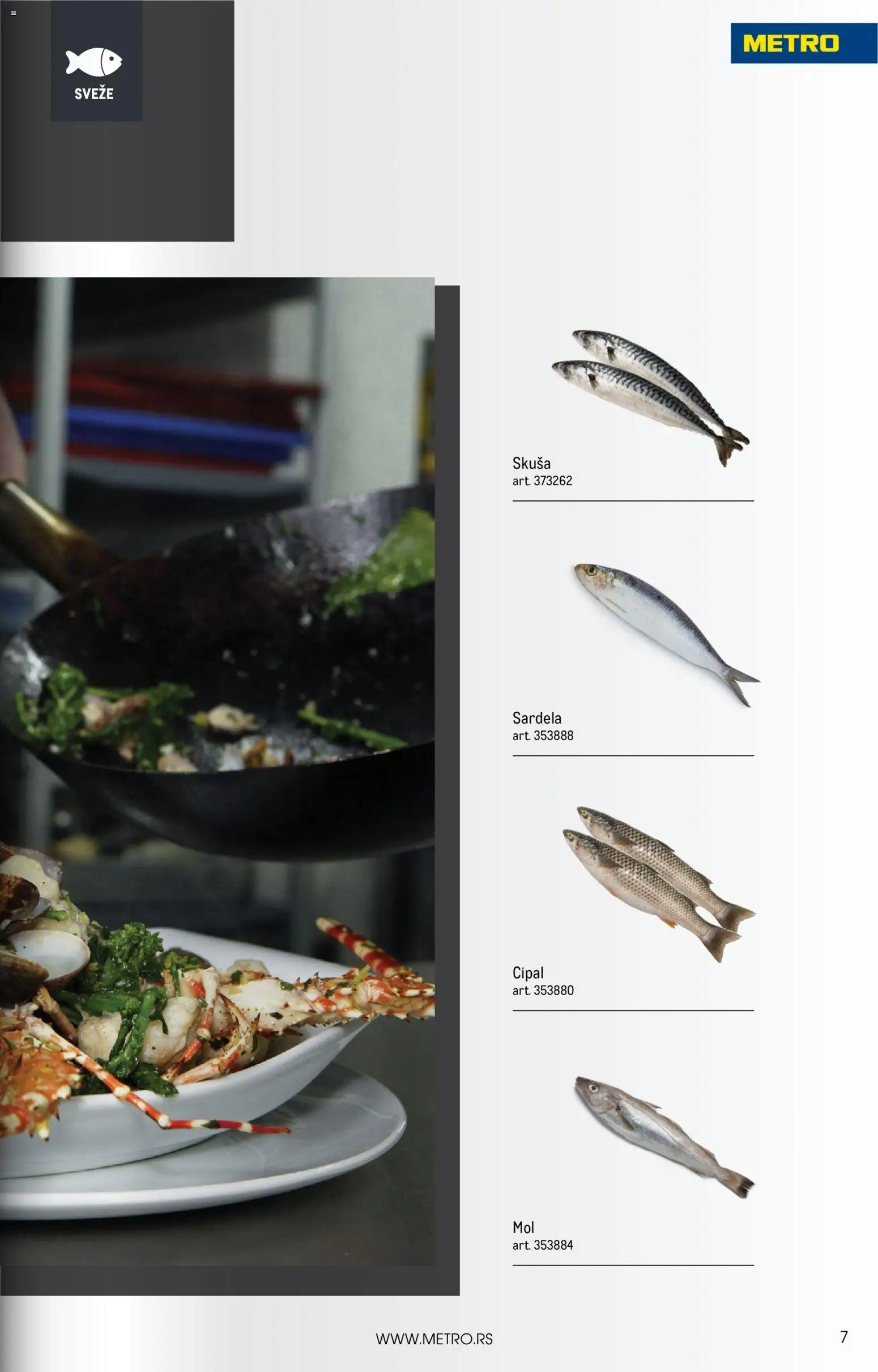 Metro katalog - važi od 01.01.2026 | Strana: 7 | Proizvode: Skuša