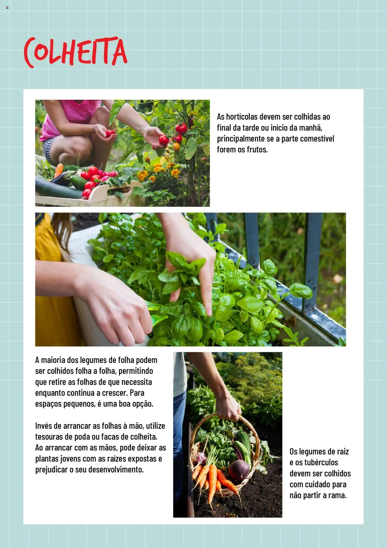 BricoMarché Hortas │ válido de 17.01.2024 | Página: 6