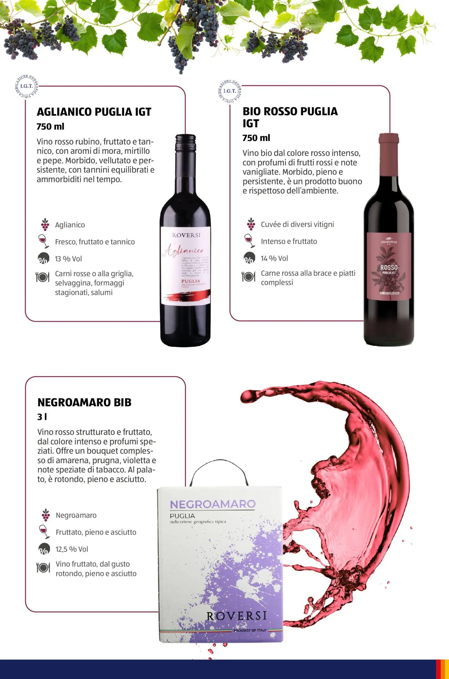 Volantino Aldi del 12.01.2026 | Pagina: 13 | Prodotti: Vino, Vino rosso