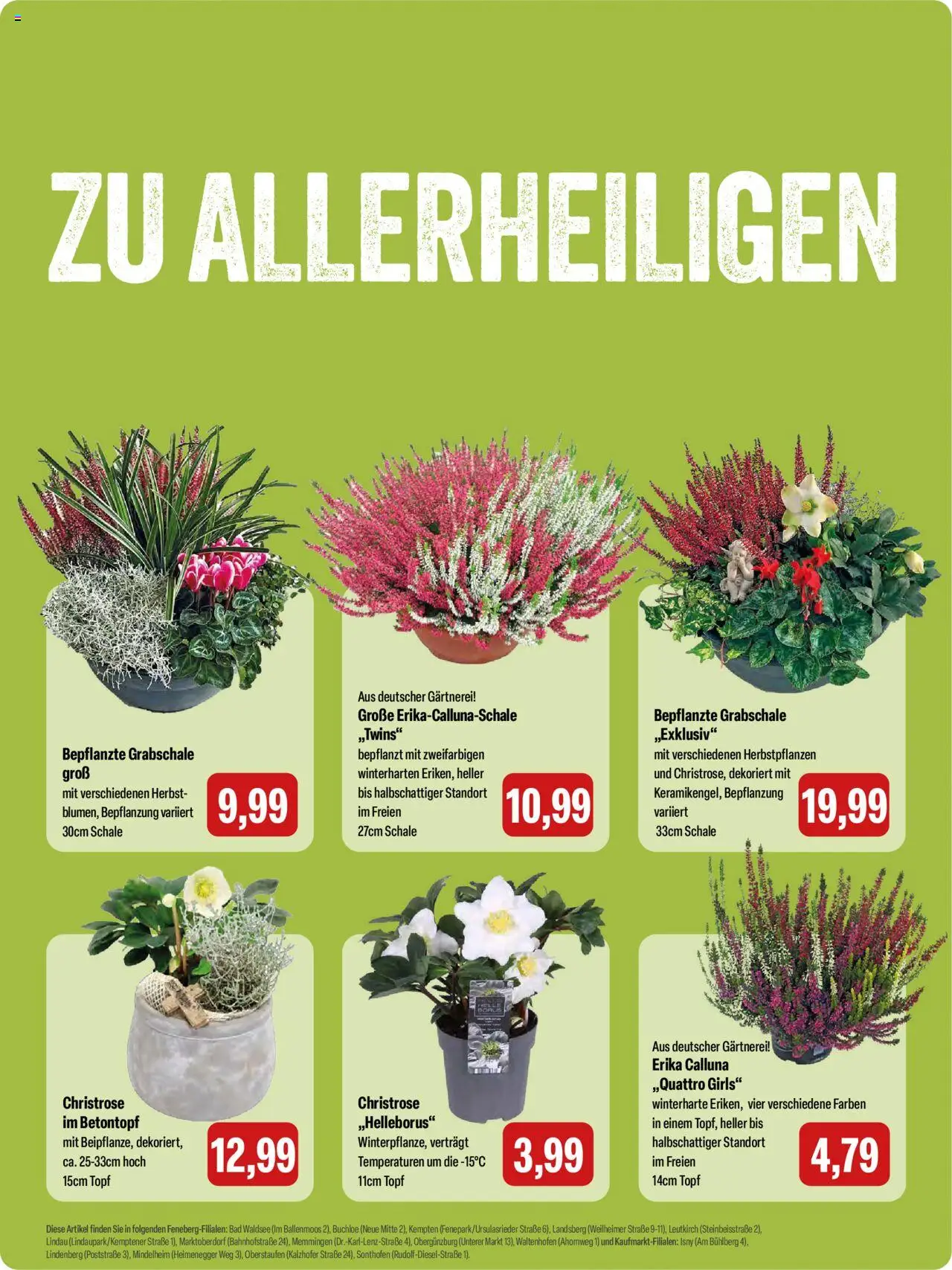 Feneberg Angebote – gültig ab 23.10.2025 | Seite: 11 | Produkte: Bad