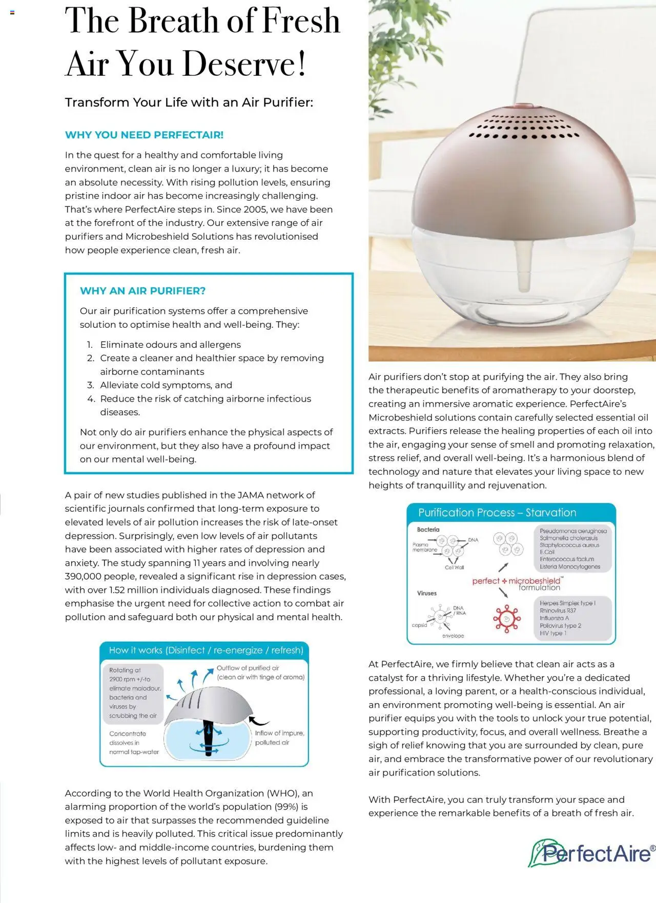 Dis-Chem - HomeCare Catalogue │ valid from 01.01.2025 | Page: 89 | Products: Air purifier, Oil