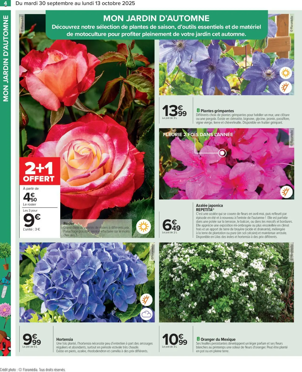  | Page: 6 | Produits: Camelia, Rosier, Parfum, Terre de bruyère